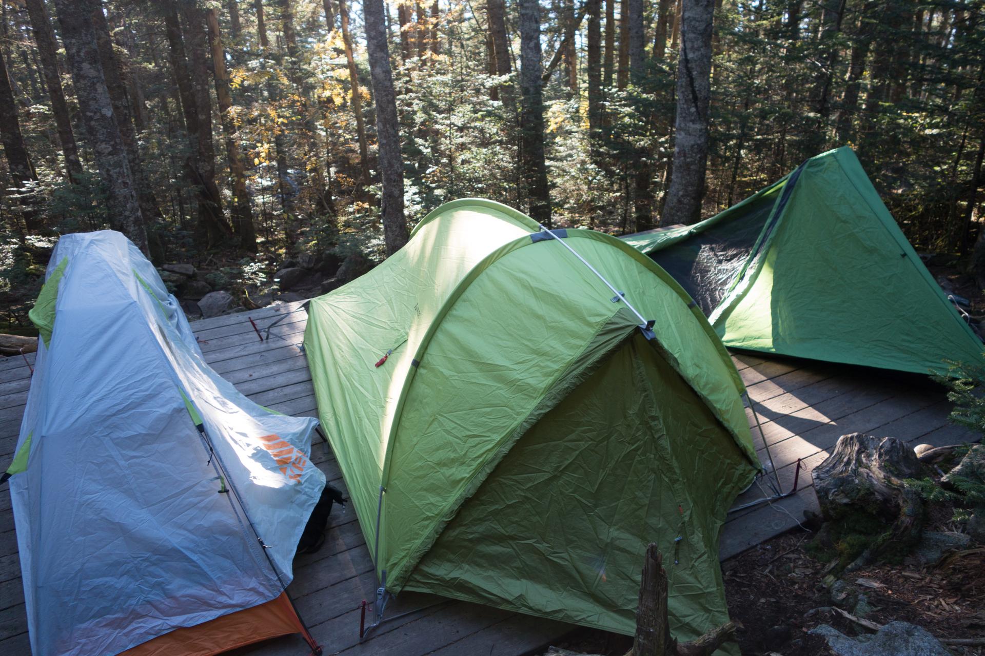 Three tents on a wooden platform in a sun-dappled forest campsite.