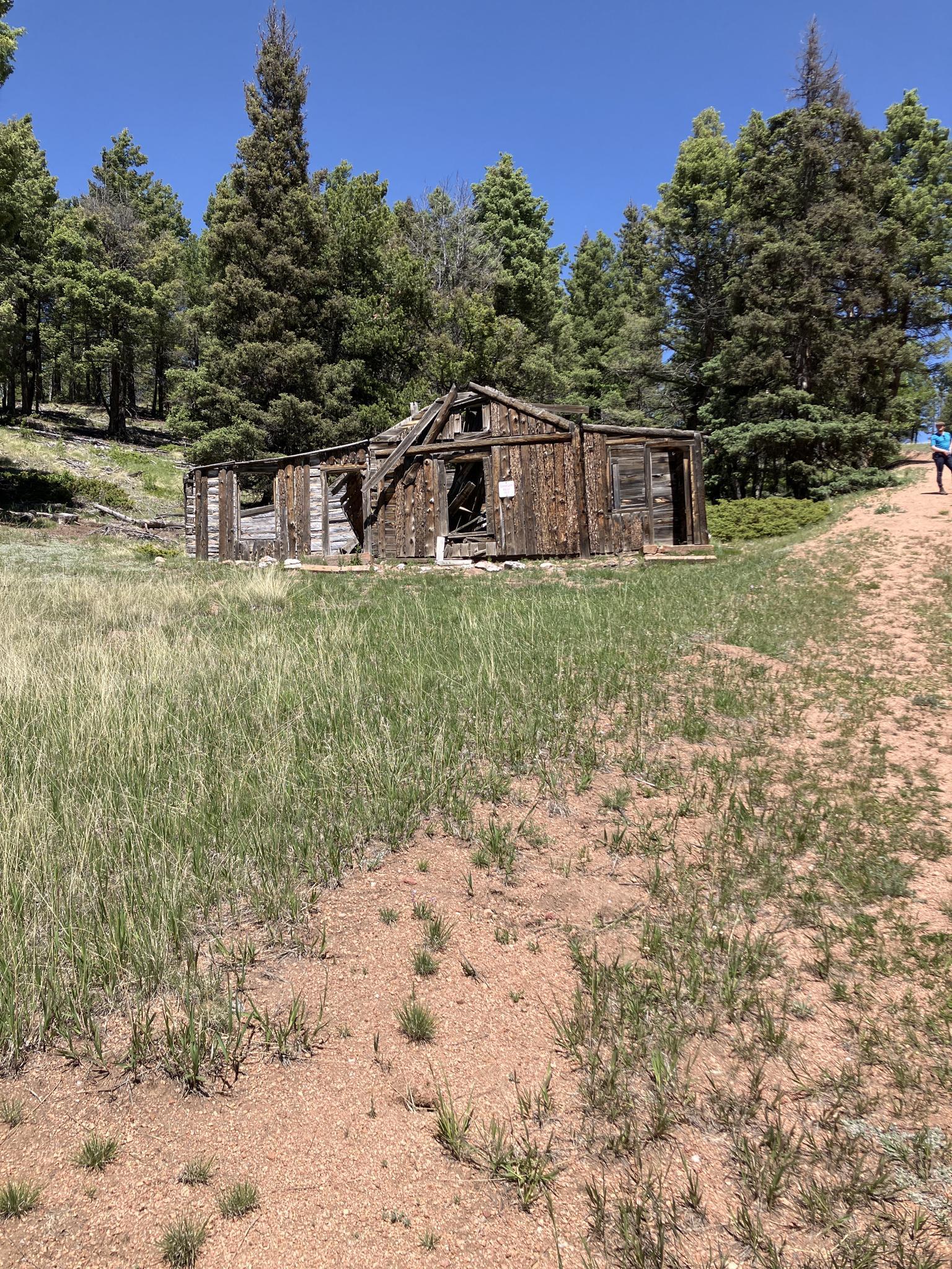 Dilapidated wooden cabin in tall grass near a dirt path with a person walking.