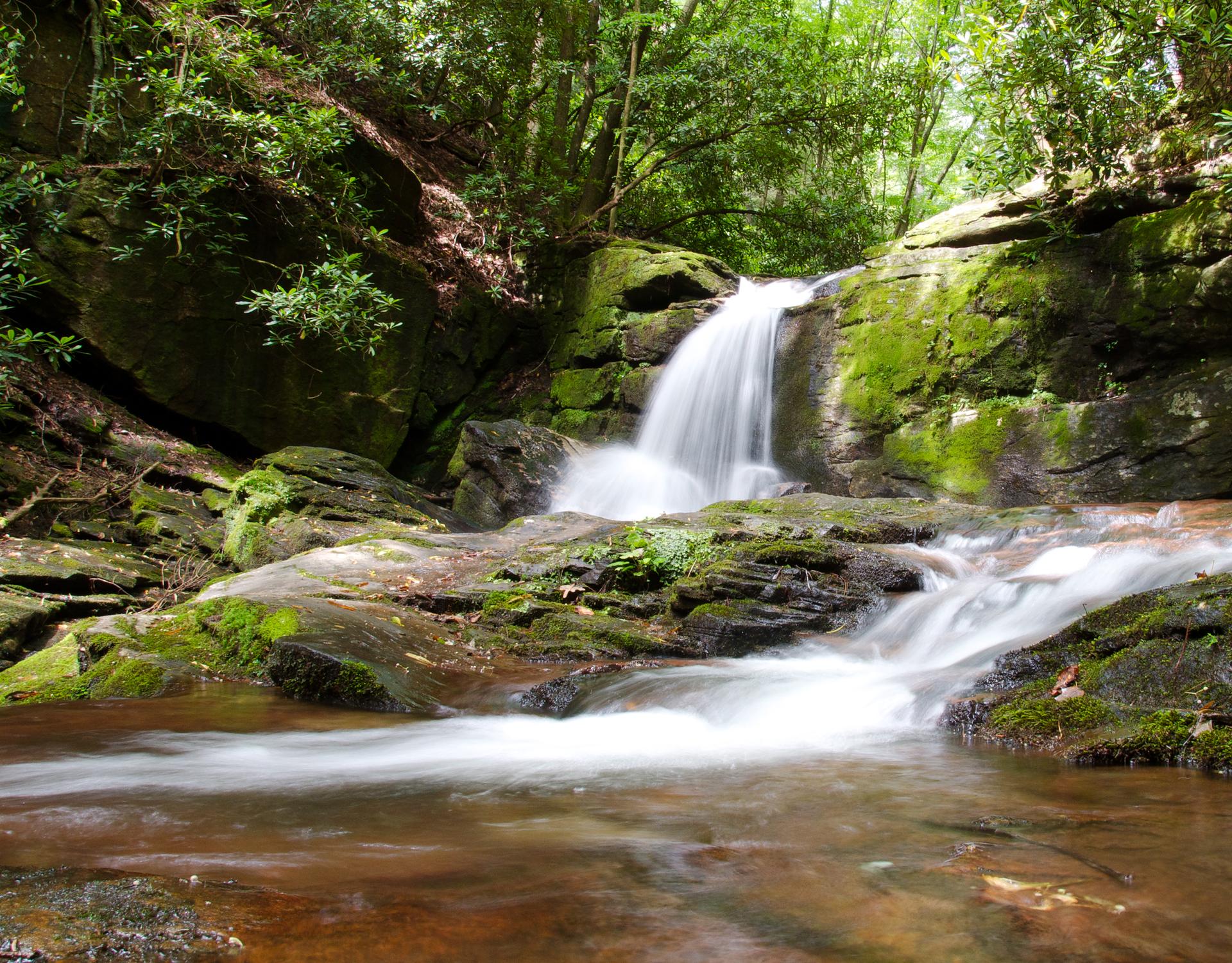 A beautiful waterfall cascades into a mossy stream in a lush green forest.