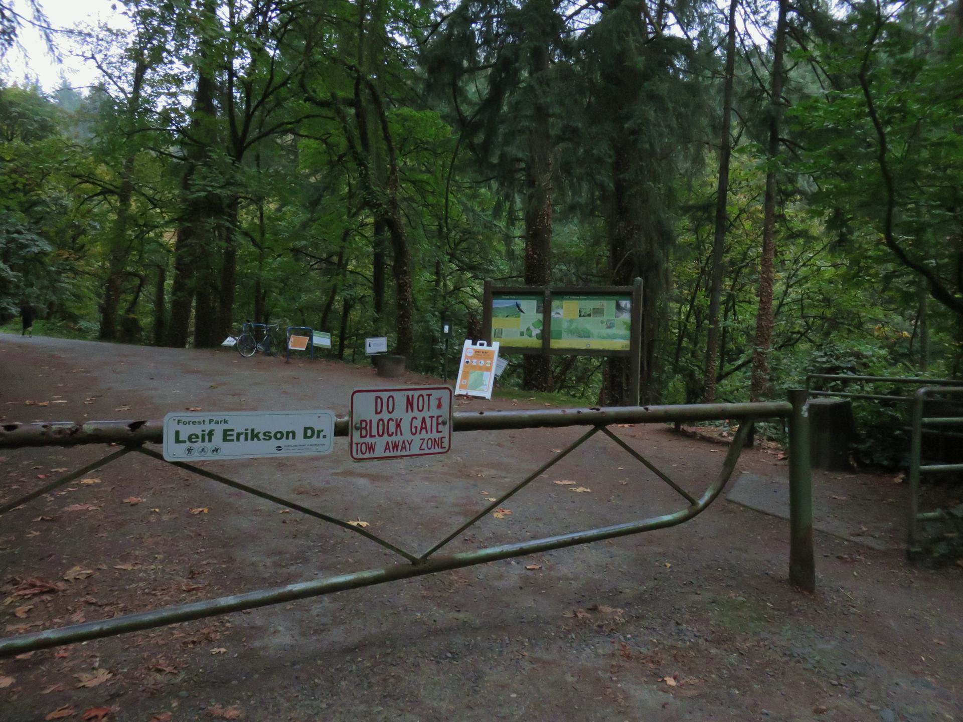 Metal gate blocking a dirt road entrance to a dense, dark forest.