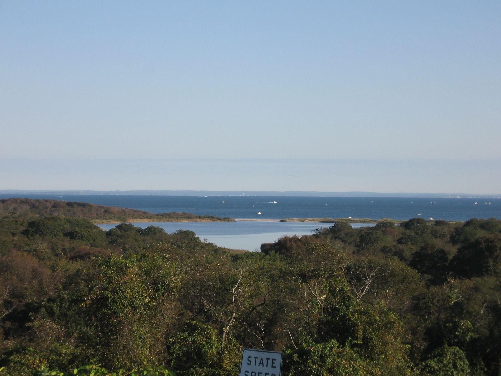 Panoramic view of a distant ocean and bay over green treetops.