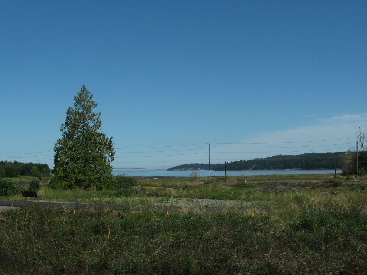 Wide view of a grassy field with a single tree, leading to a distant water body.