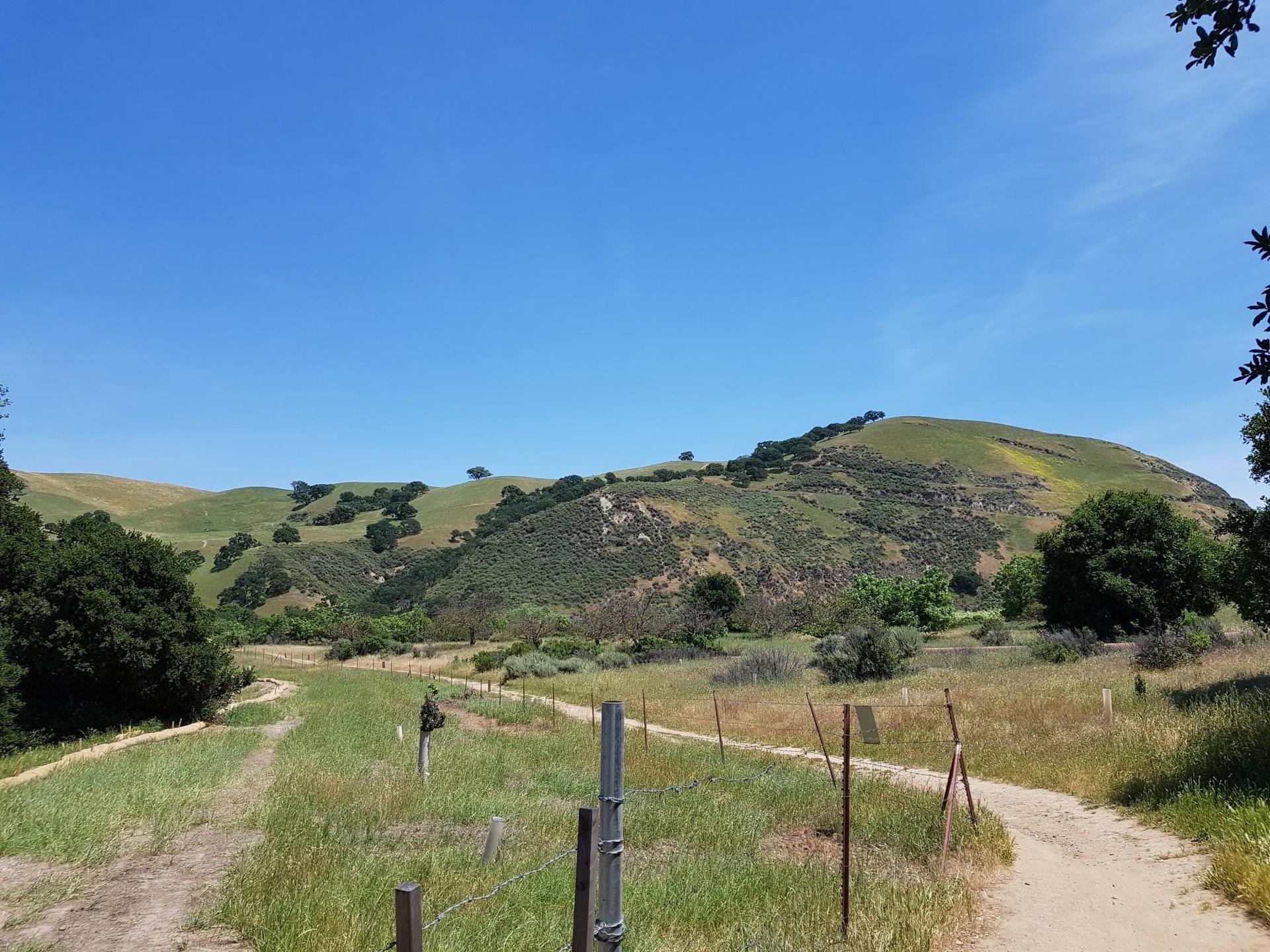 Dirt path winding through green hills under a bright blue sky.