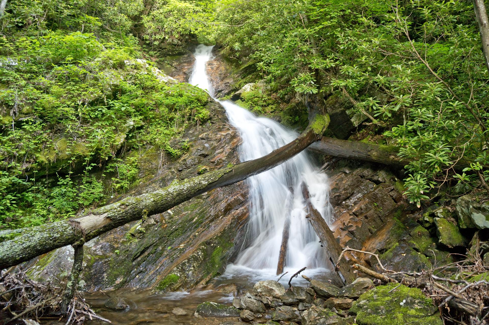 A bright waterfall cascades over rocks and fallen logs in a lush green forest.