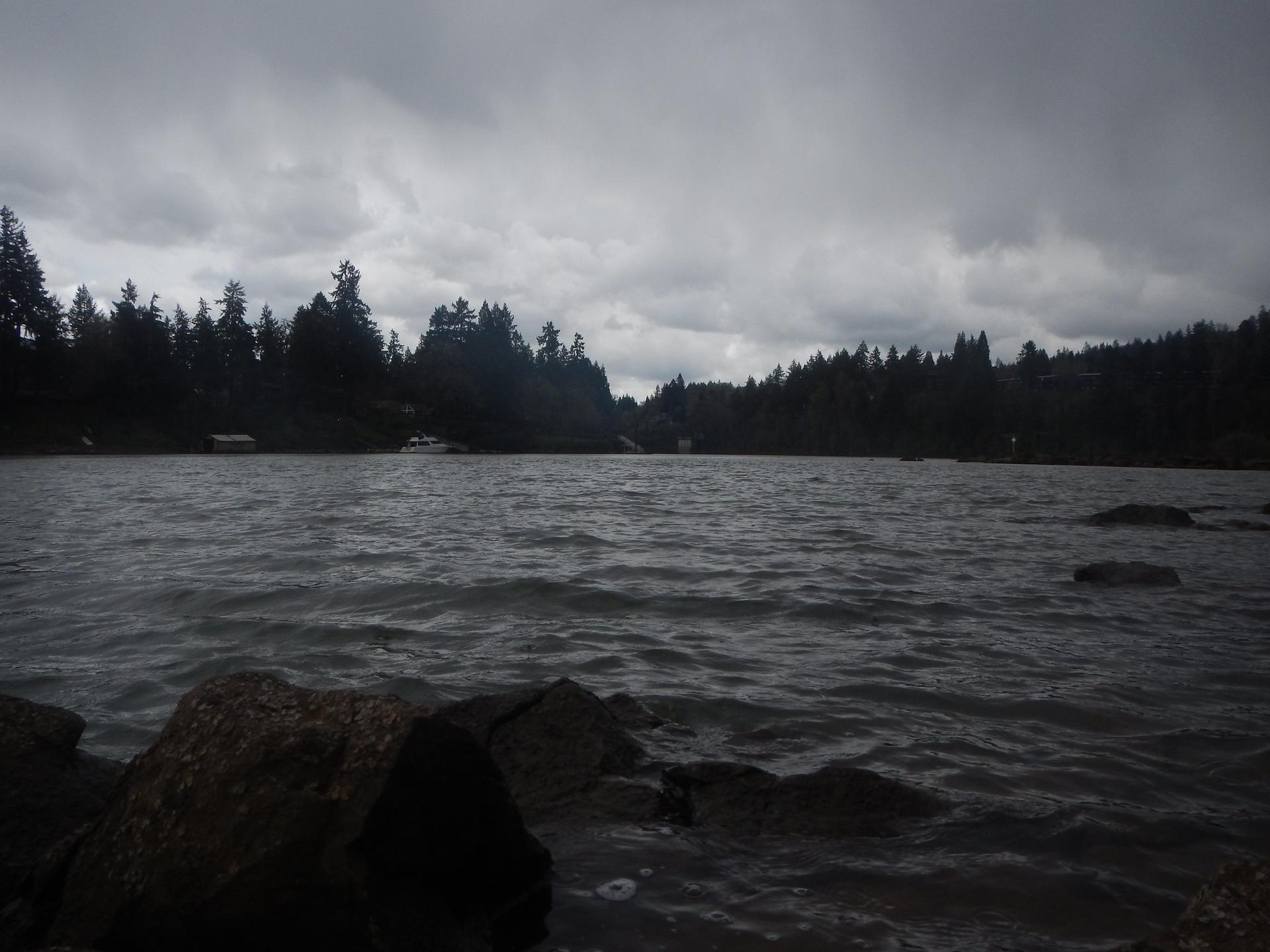 Dark, choppy water with rocks under a gloomy, overcast sky and forested shore.