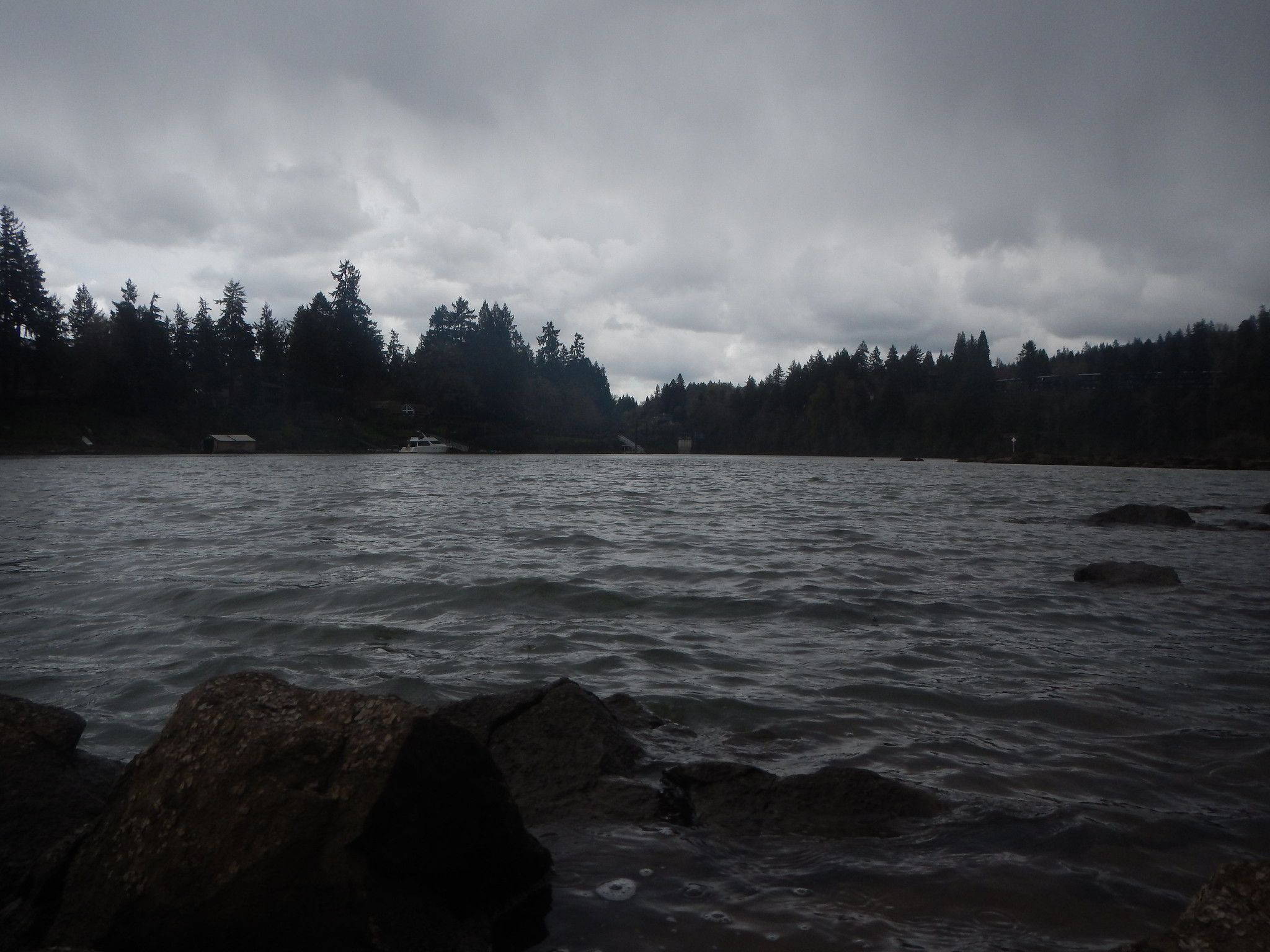 Dark, choppy water with rocks under a gloomy, overcast sky and forested shore. - Willamette Greenway Trail