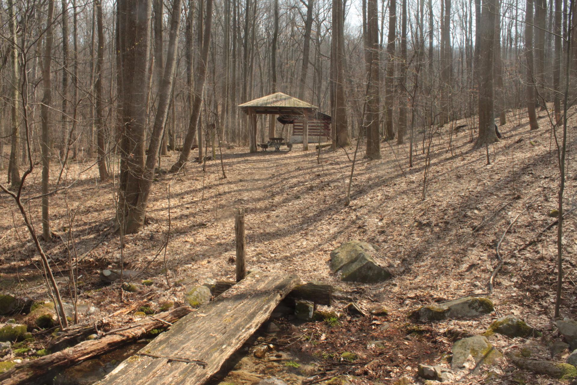 A wooden shelter stands among bare trees and fallen leaves in a forest.