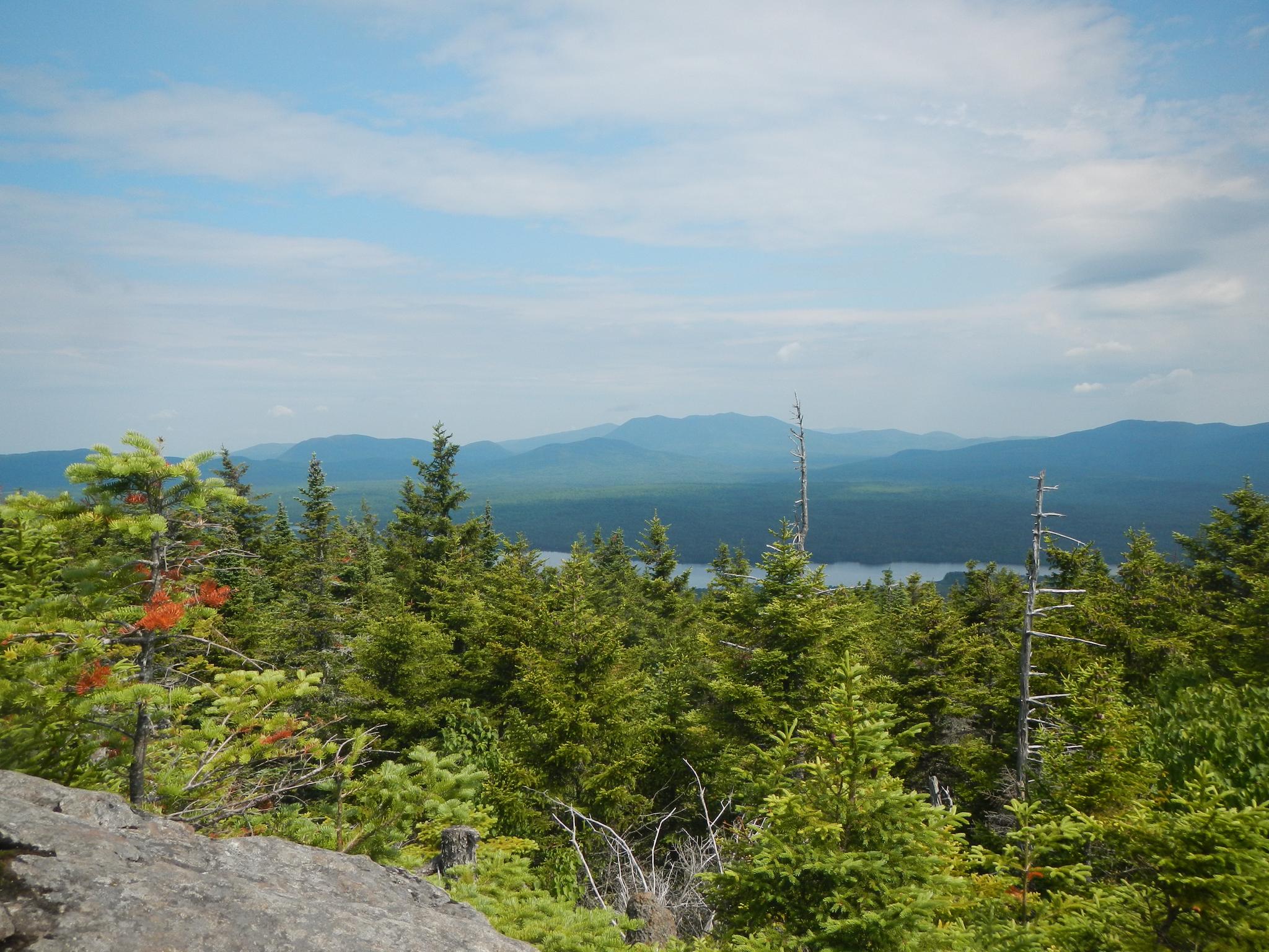 A vast mountain landscape with evergreen trees, a distant lake, and blue sky.