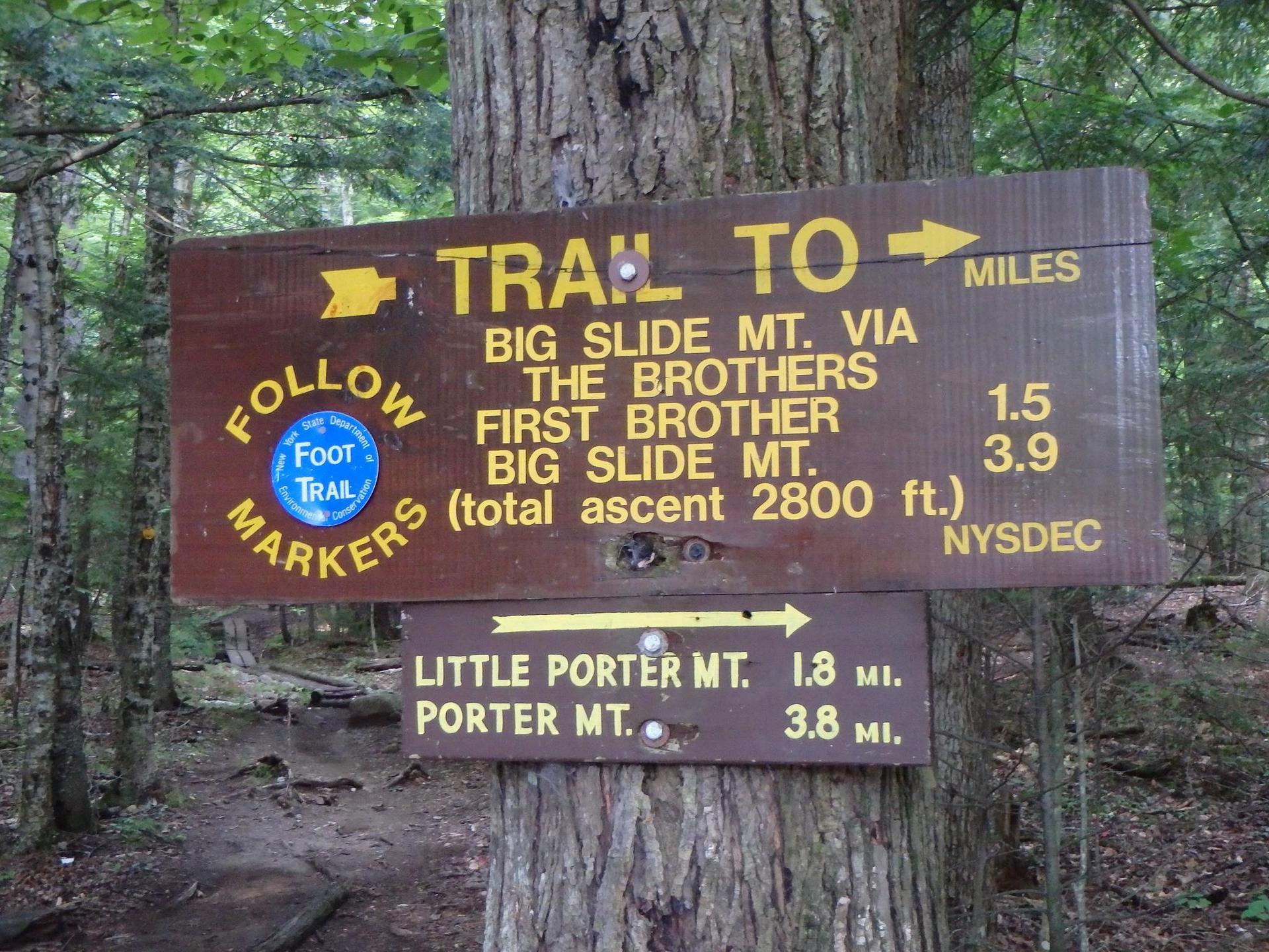 A brown wooden trail sign attached to a tree in a forest.