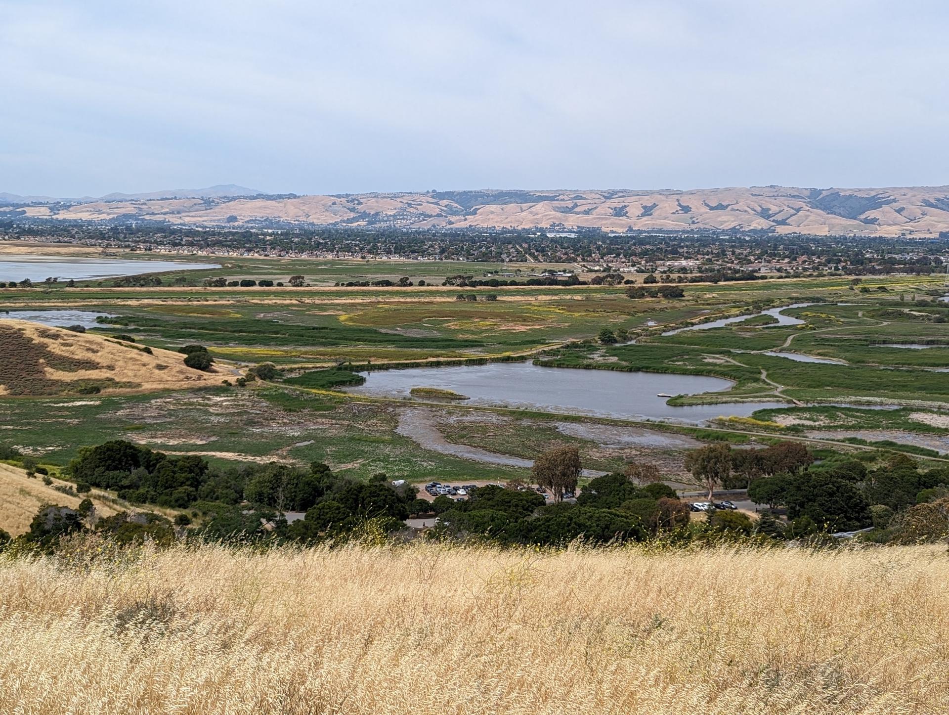 Expansive view of wetlands, water bodies, and distant hills under cloudy sky.
