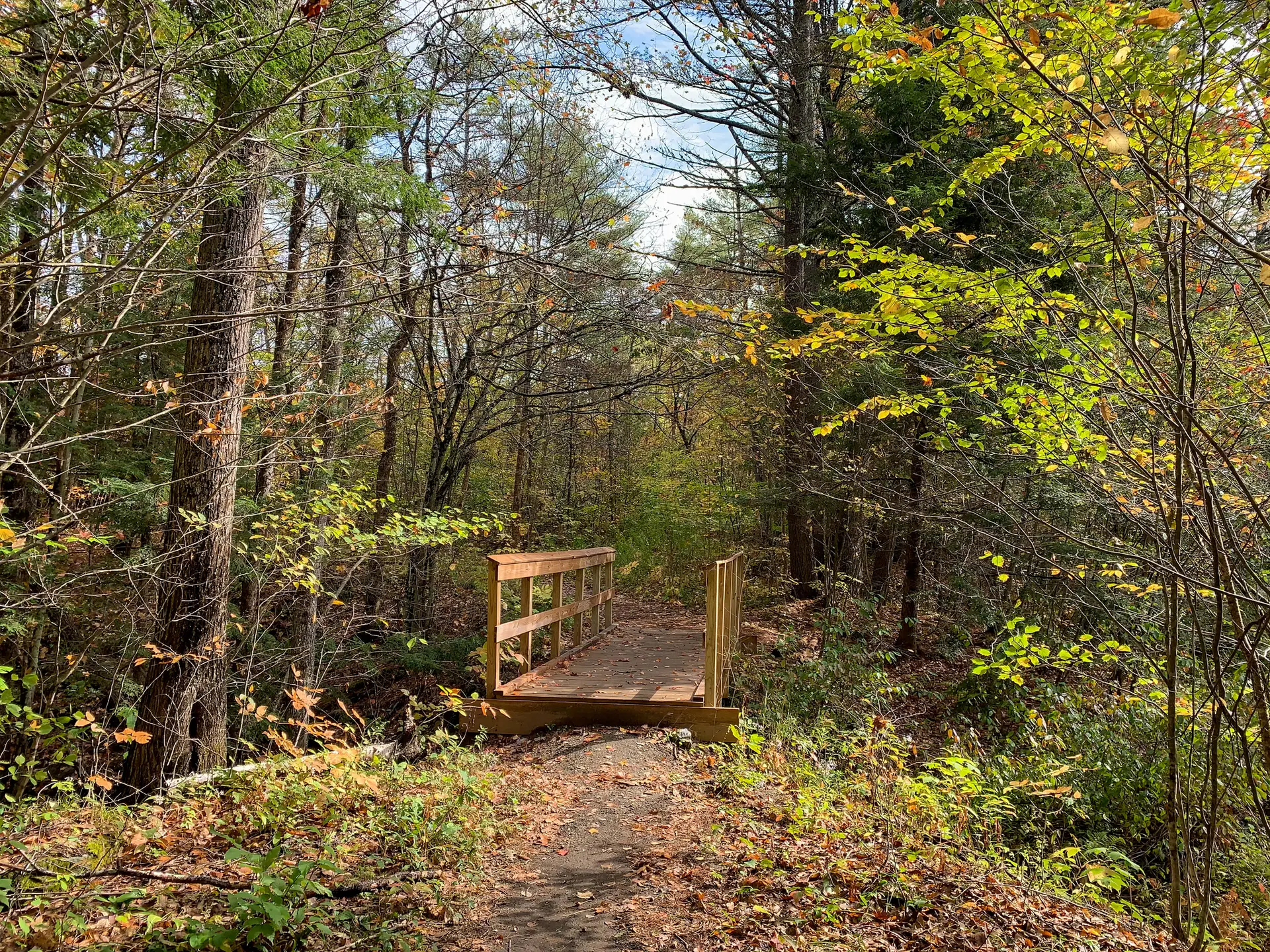 A wooden footbridge crosses a dirt path through a sunlit forest with green and yellow leaves.