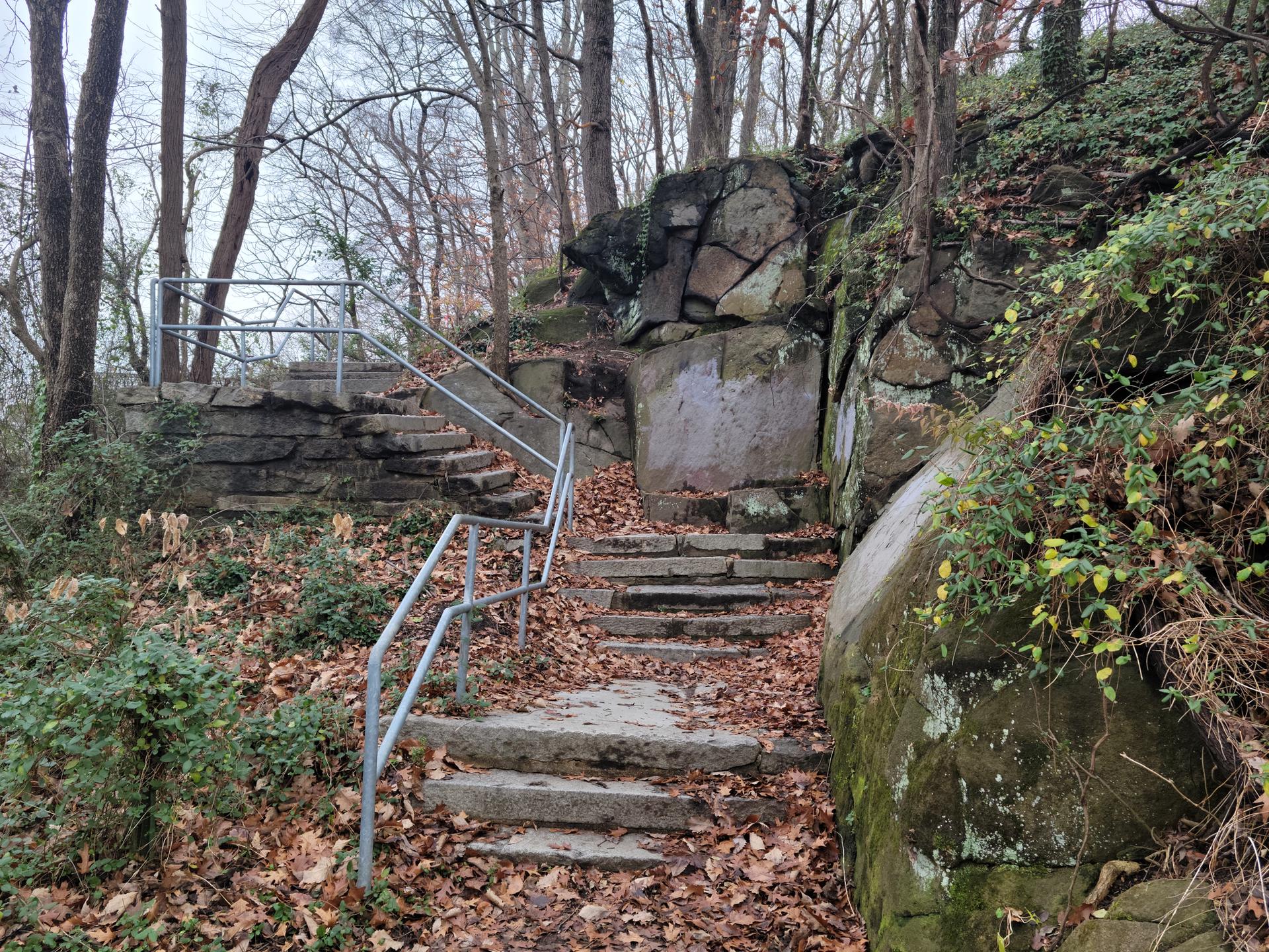 Stone steps with metal railings ascend a rocky, leaf-covered forest path.