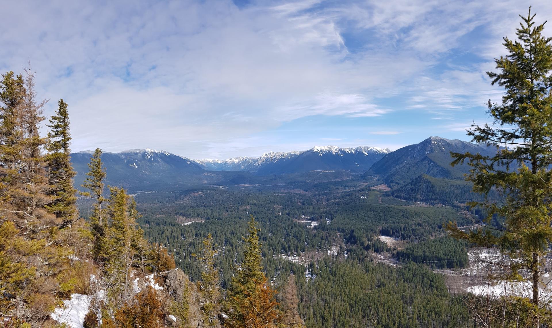 Expansive view of snow-capped mountains and a vast evergreen forest under blue sky.