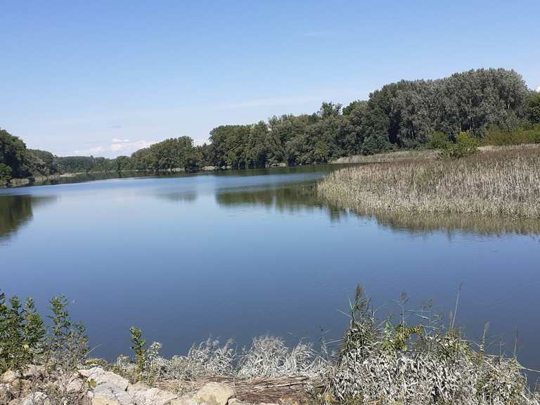Bei Schönau an der Donau Radtouren und Radwege komoot