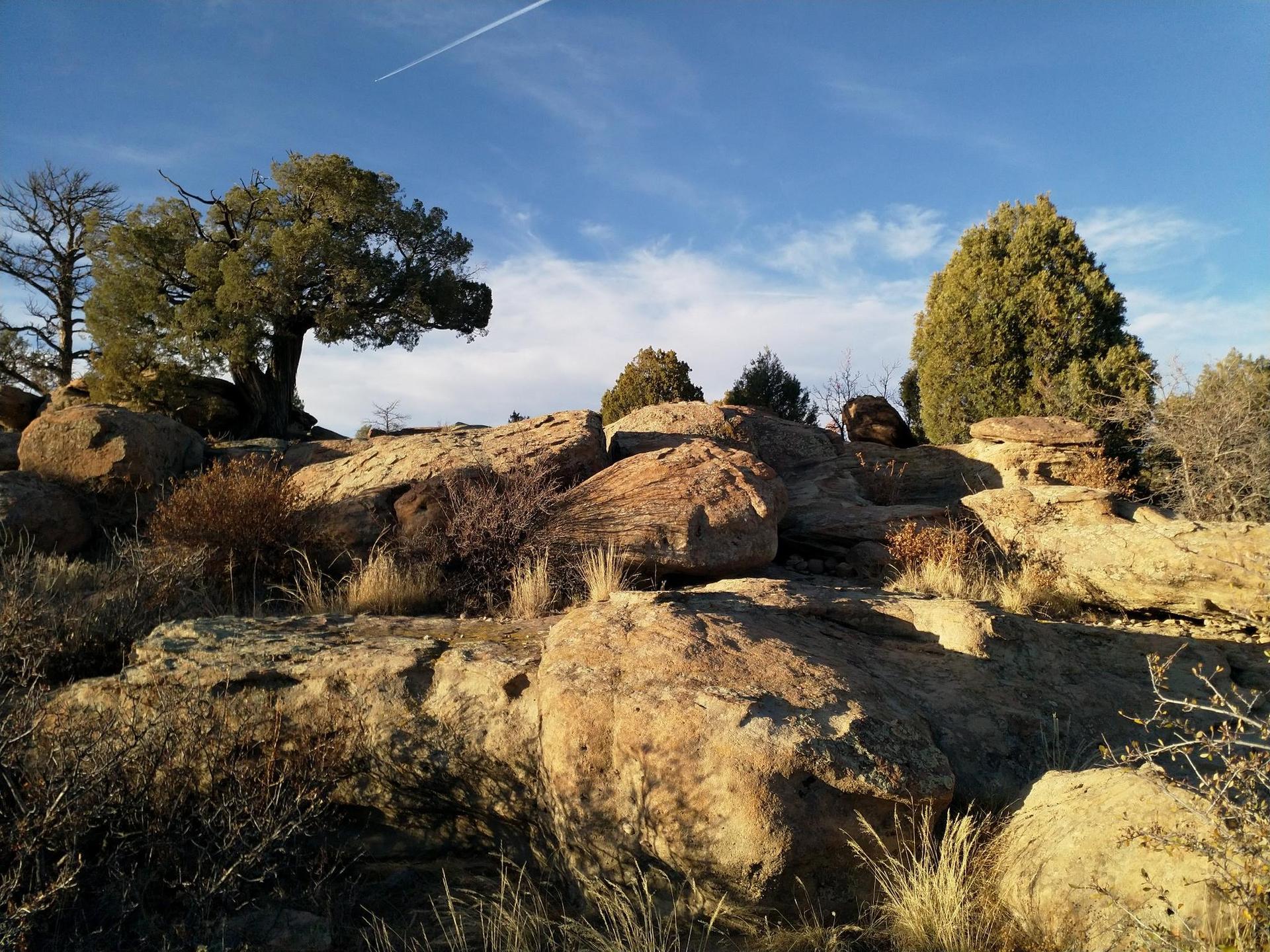 Golden light illuminates large boulders and trees on a rocky hillside.