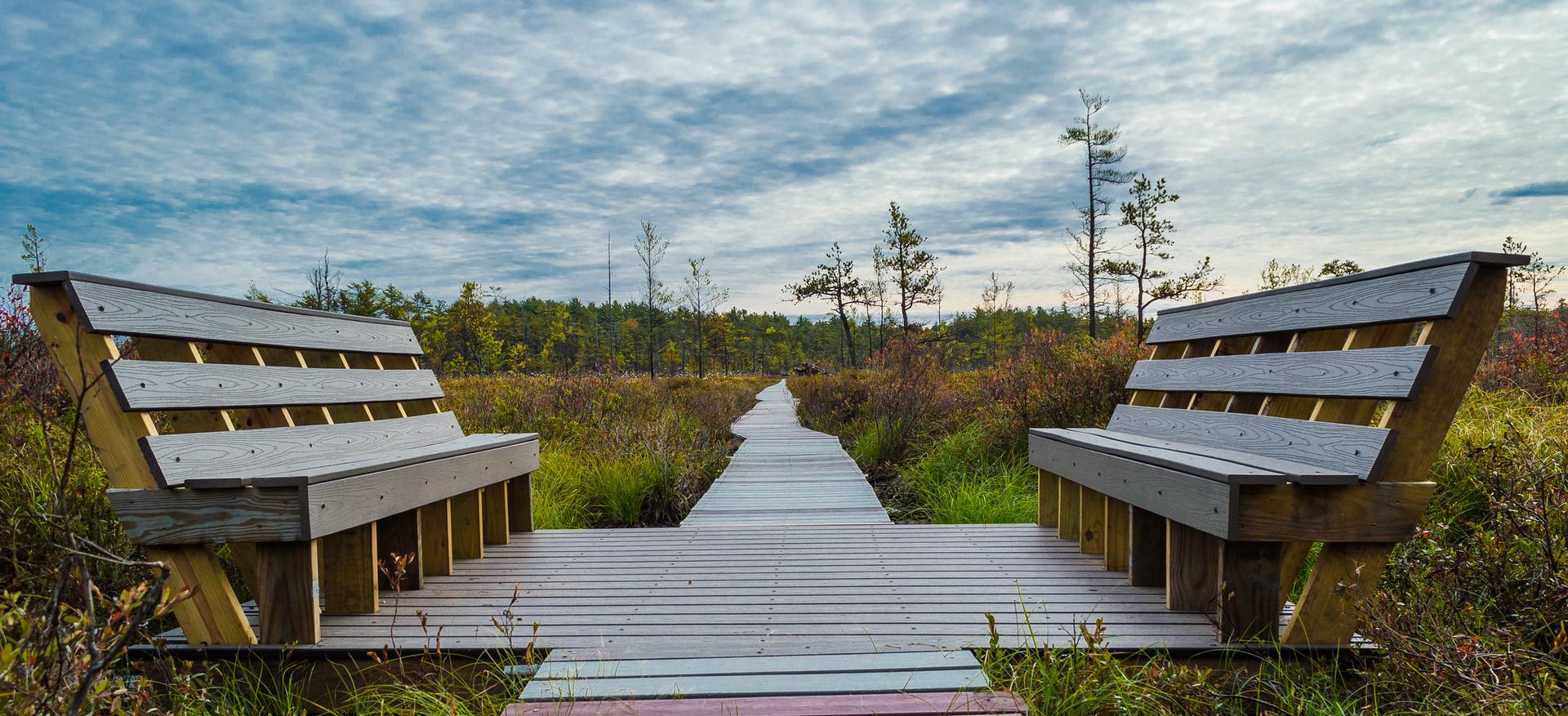 Wooden boardwalk and two benches in a marshy landscape under a cloudy sky.