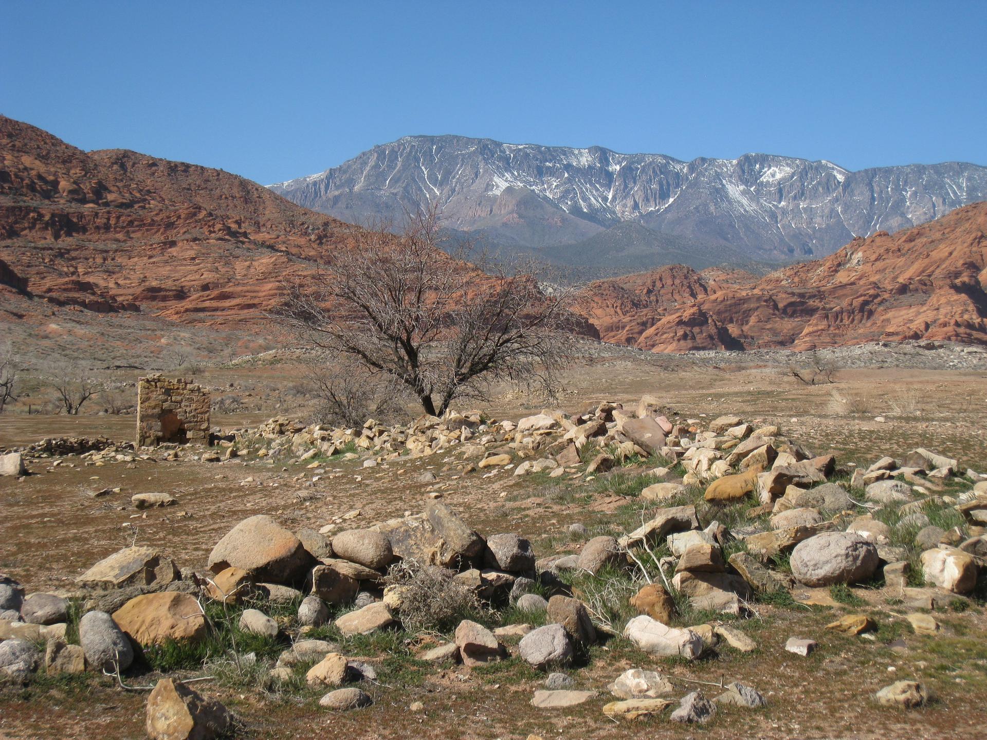 Rocky desert landscape with bare trees, a stone structure, and snow-capped mountains.