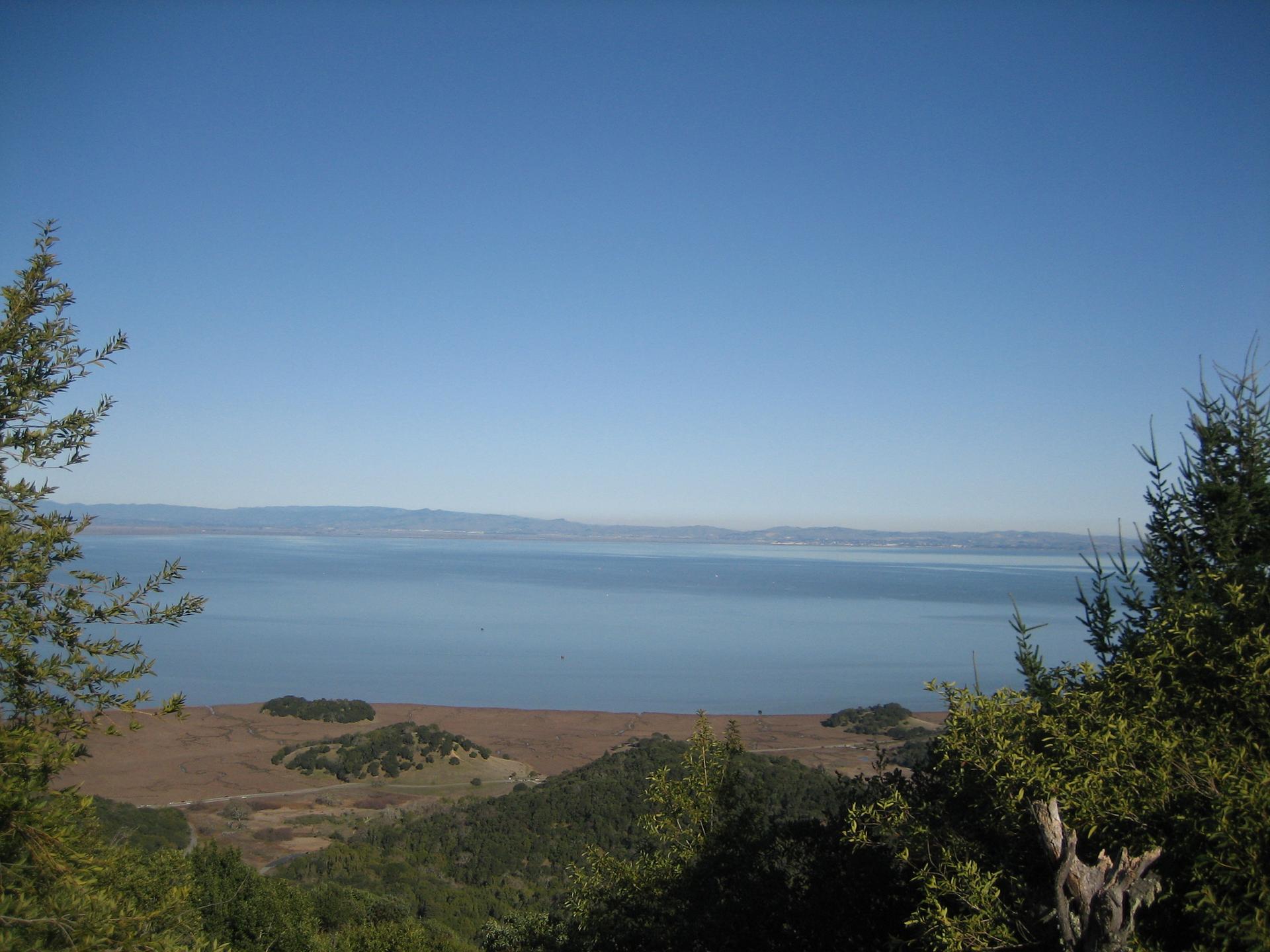 Vast blue water and distant land framed by green trees on a clear day.