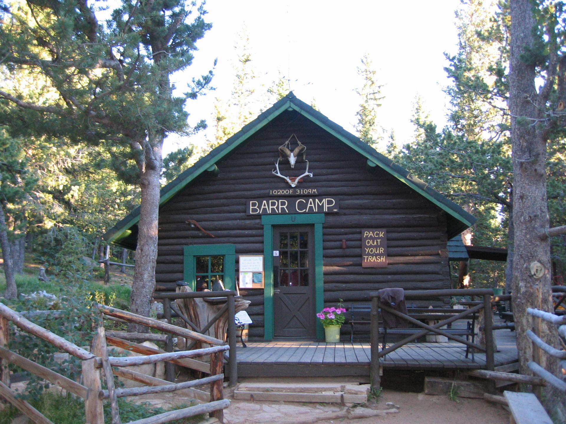 Rustic log cabin with a green roof nestled among tall pine trees.