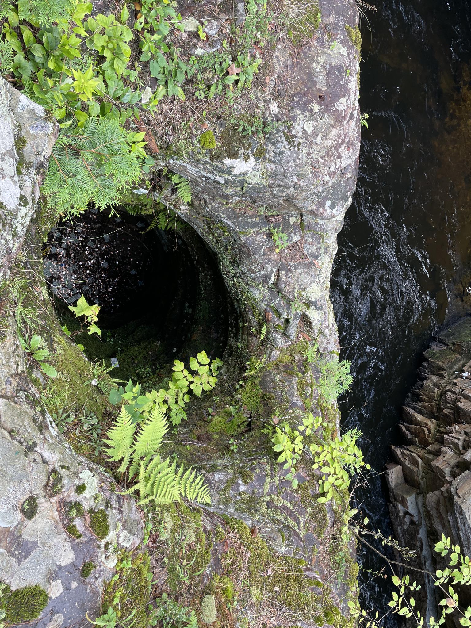 Dark hole in mossy rock face beside dark water, with green ferns.