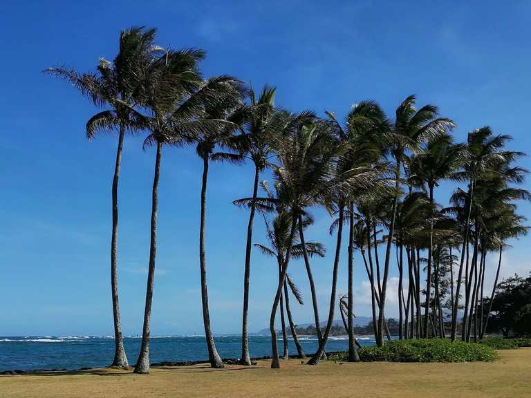 Kapaa Bike Path – Hiking & Cycling Routes | Komoot