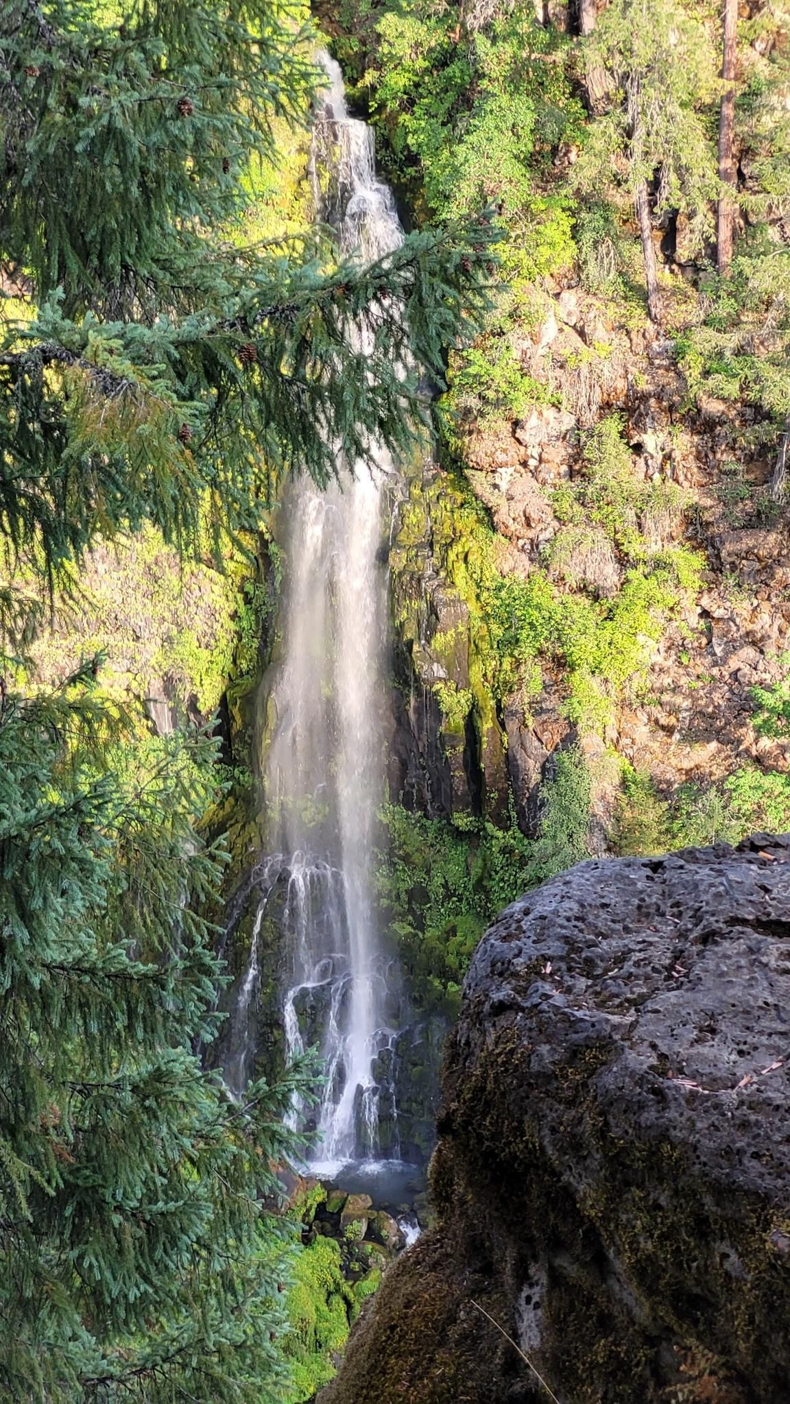 A tall waterfall cascades down a rocky, forested cliff in bright sunlight. - Mill Creek and Barr Creek Falls Trail
