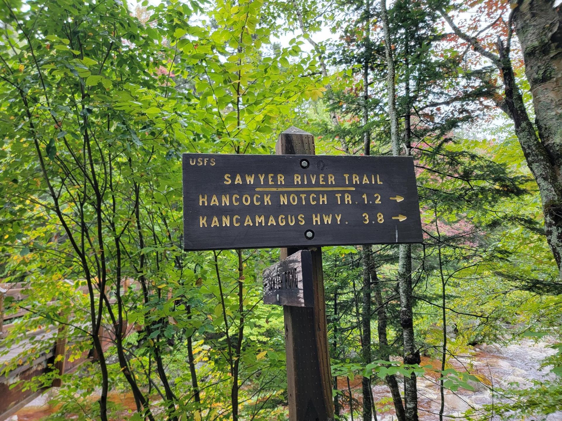 A wooden trail sign stands in a lush green forest beside a flowing river.