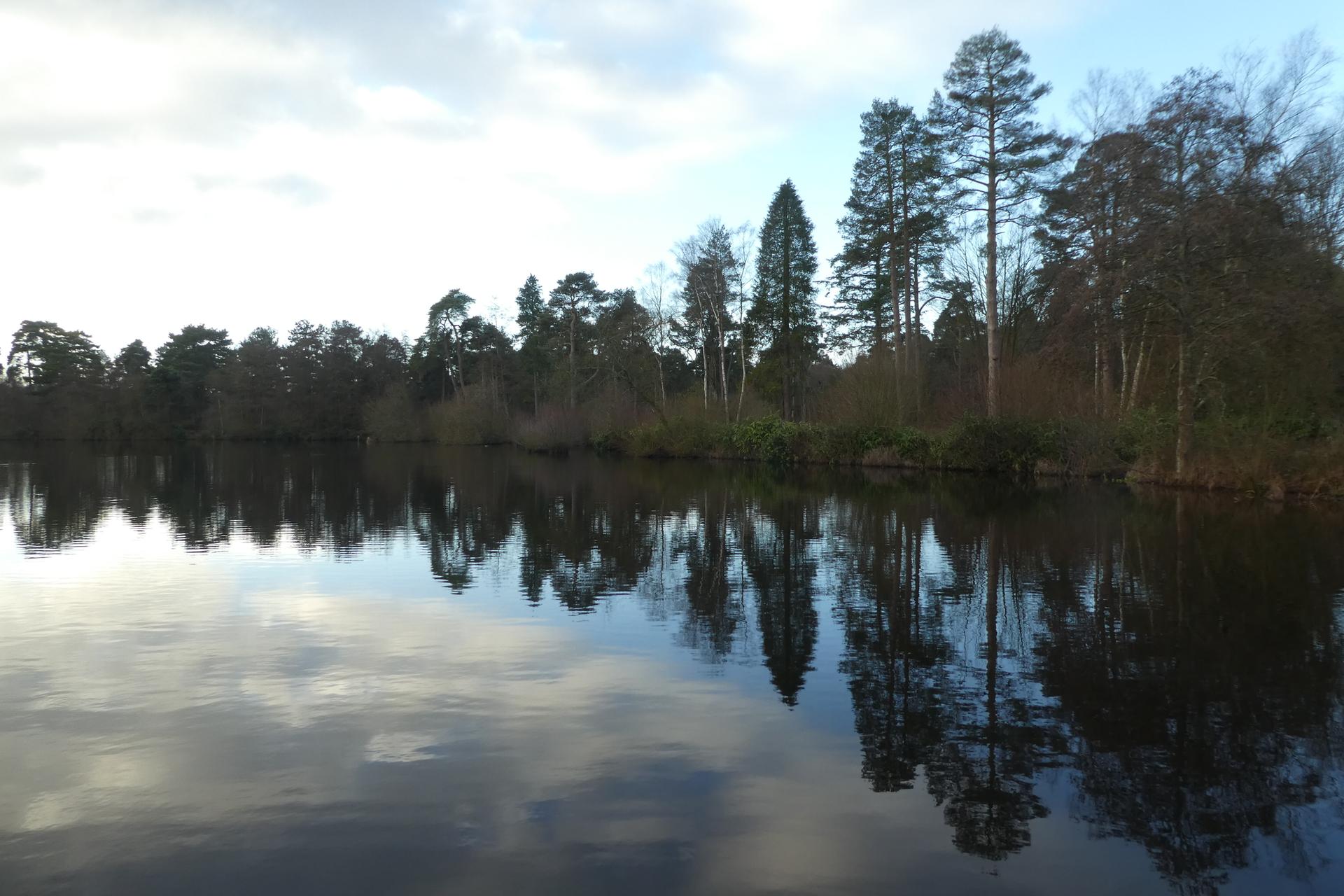 Calm lake reflecting a dense forest under an overcast sky.
