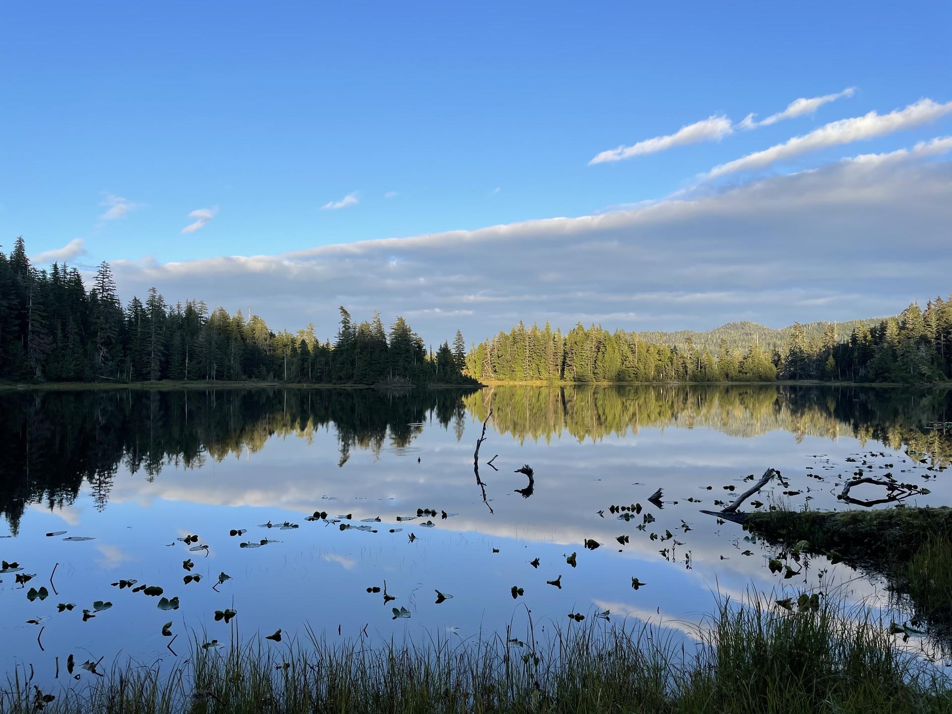 Calm lake reflects cloudy sky and dense green forest under bright light.