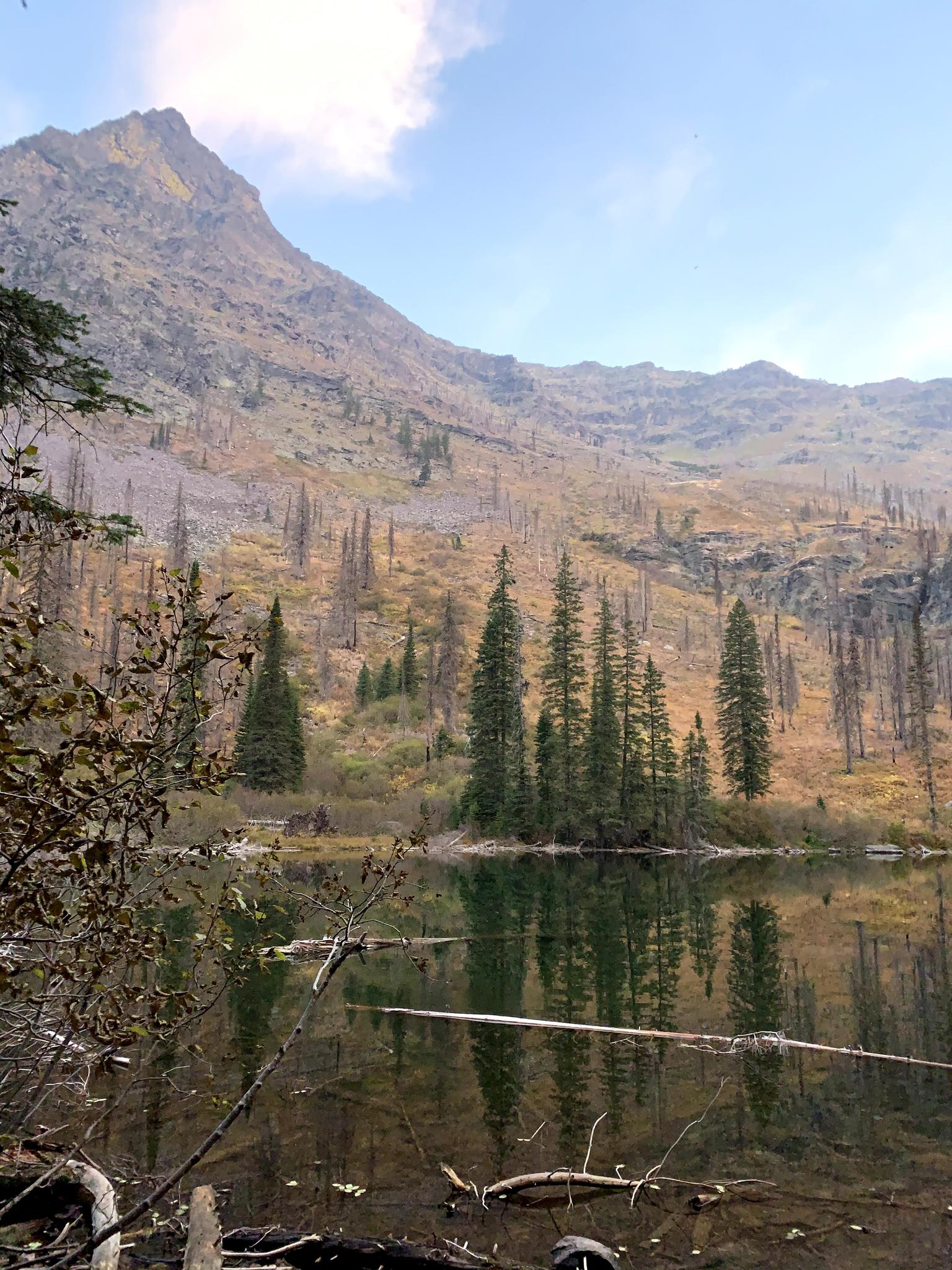 A serene lake reflecting evergreen trees, with a large mountain in the background.