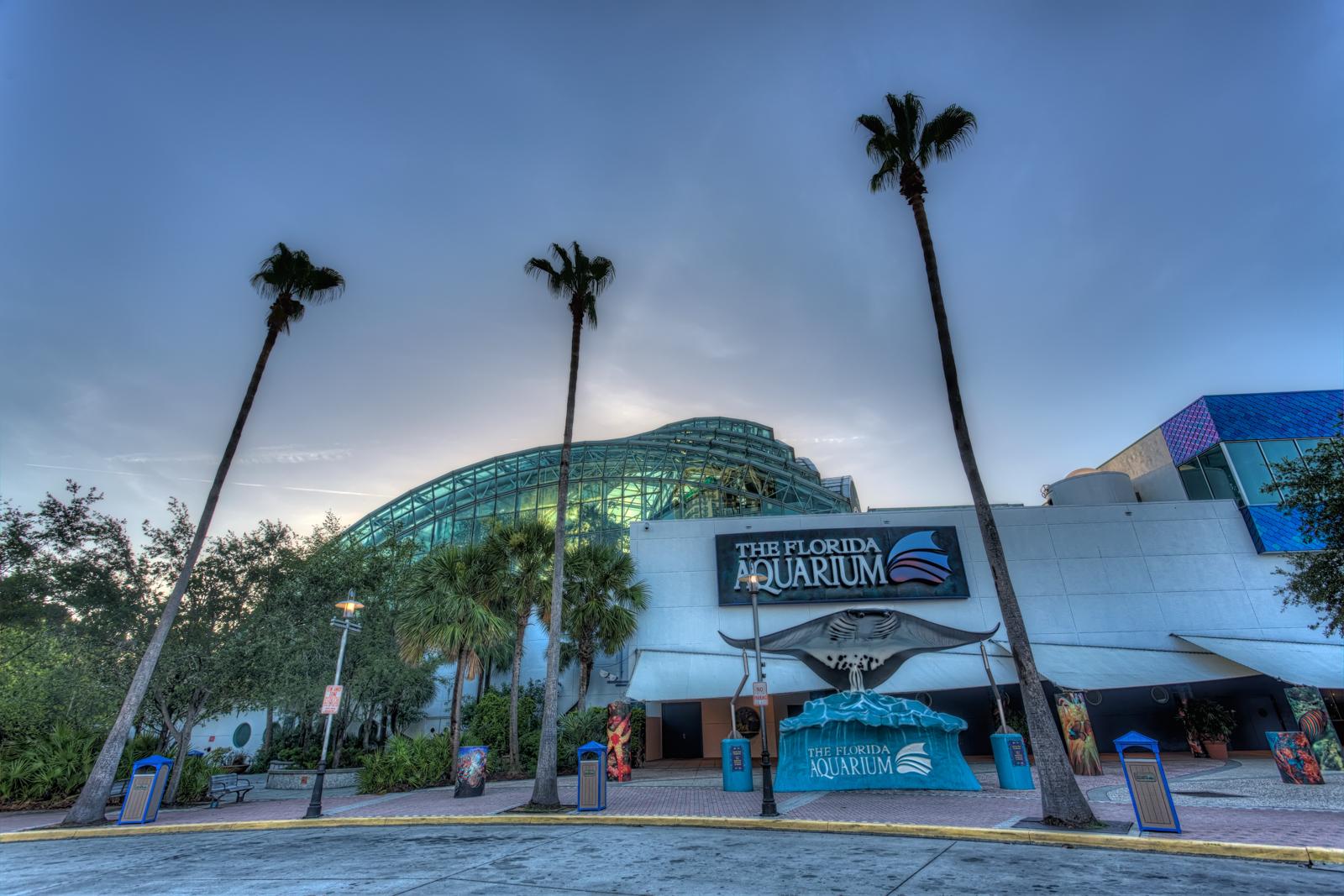 Large modern building with a glass roof and tall palm trees under a cloudy sky.