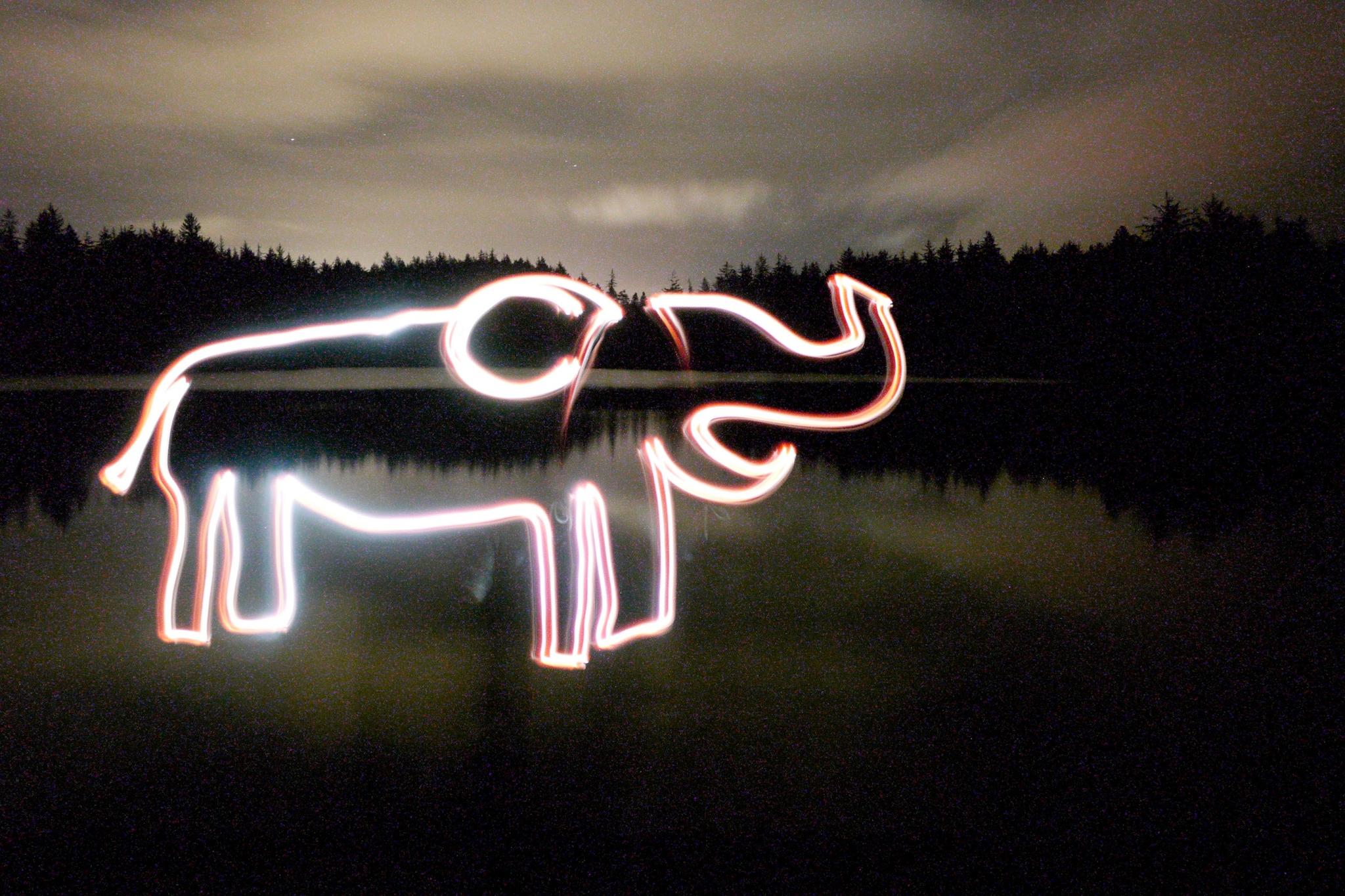 Light painting of an elephant glowing over dark water at night.