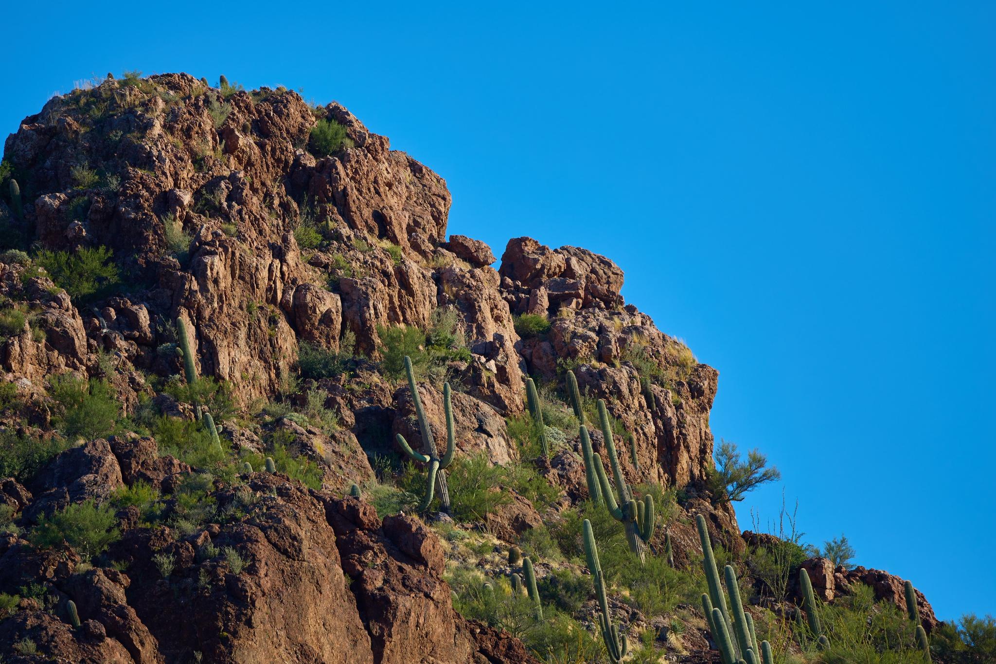 Close-up of a rugged, sunlit rocky mountain face with saguaro cacti.