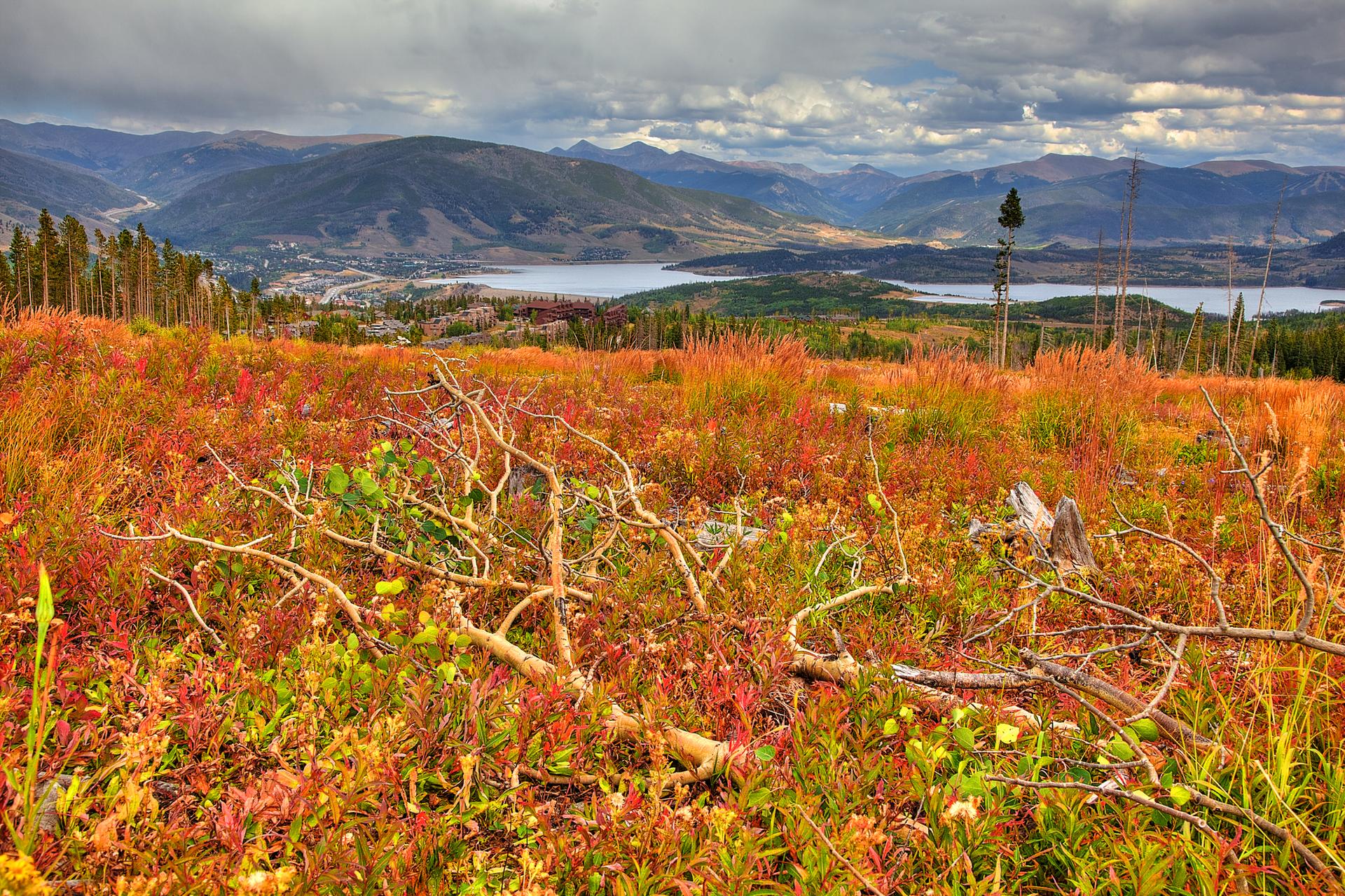Vibrant autumn field with fallen branches overlooking a lake and mountains under cloudy skies.