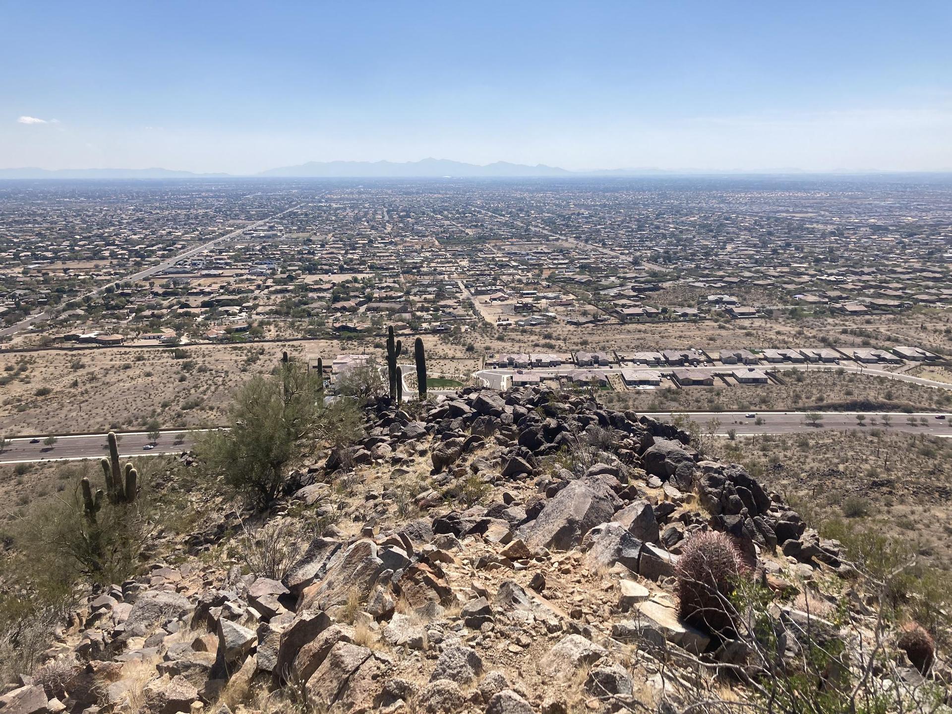 Overlook of a sprawling city from a rocky desert hillside with cacti under clear skies.