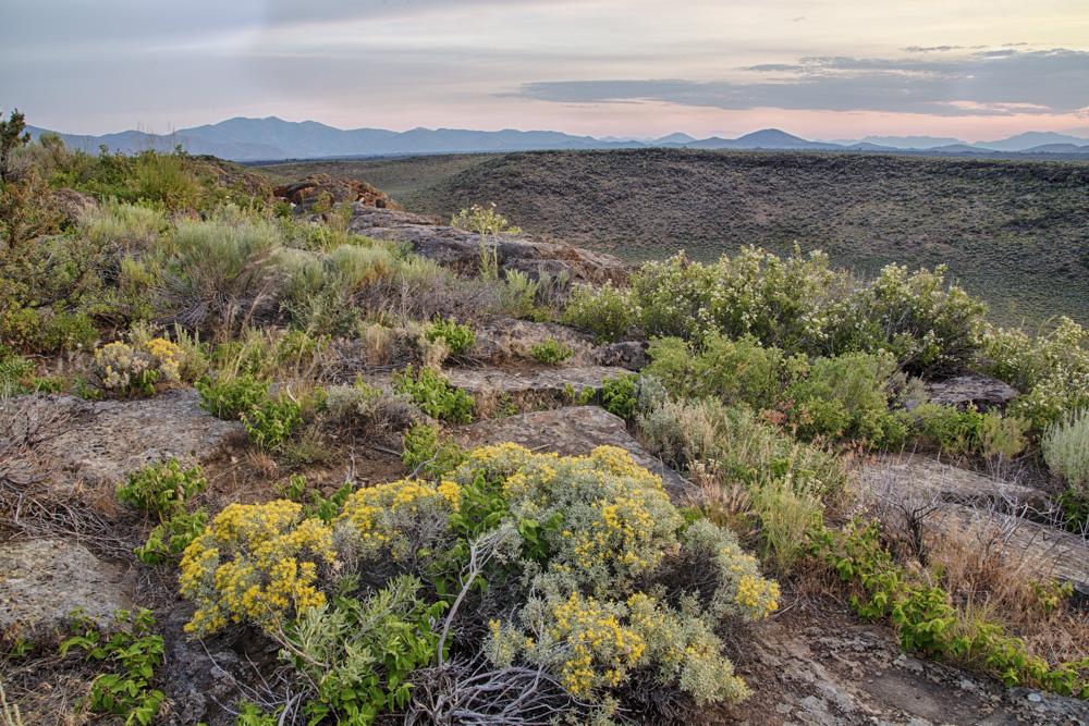 Rocky foreground with yellow flowering bushes, leading to distant mountains at dusk.