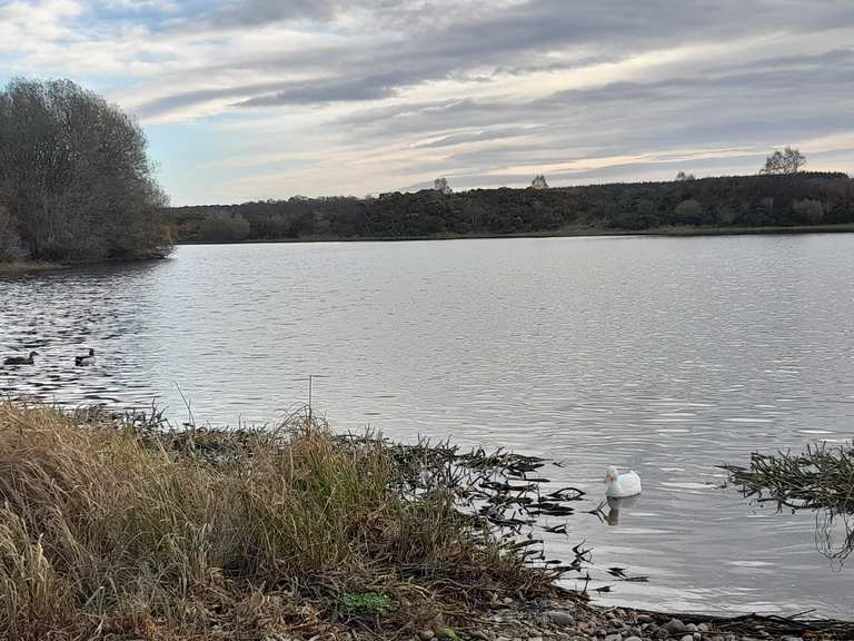 Loch Flemington Rennradfahren und Rennradtouren komoot
