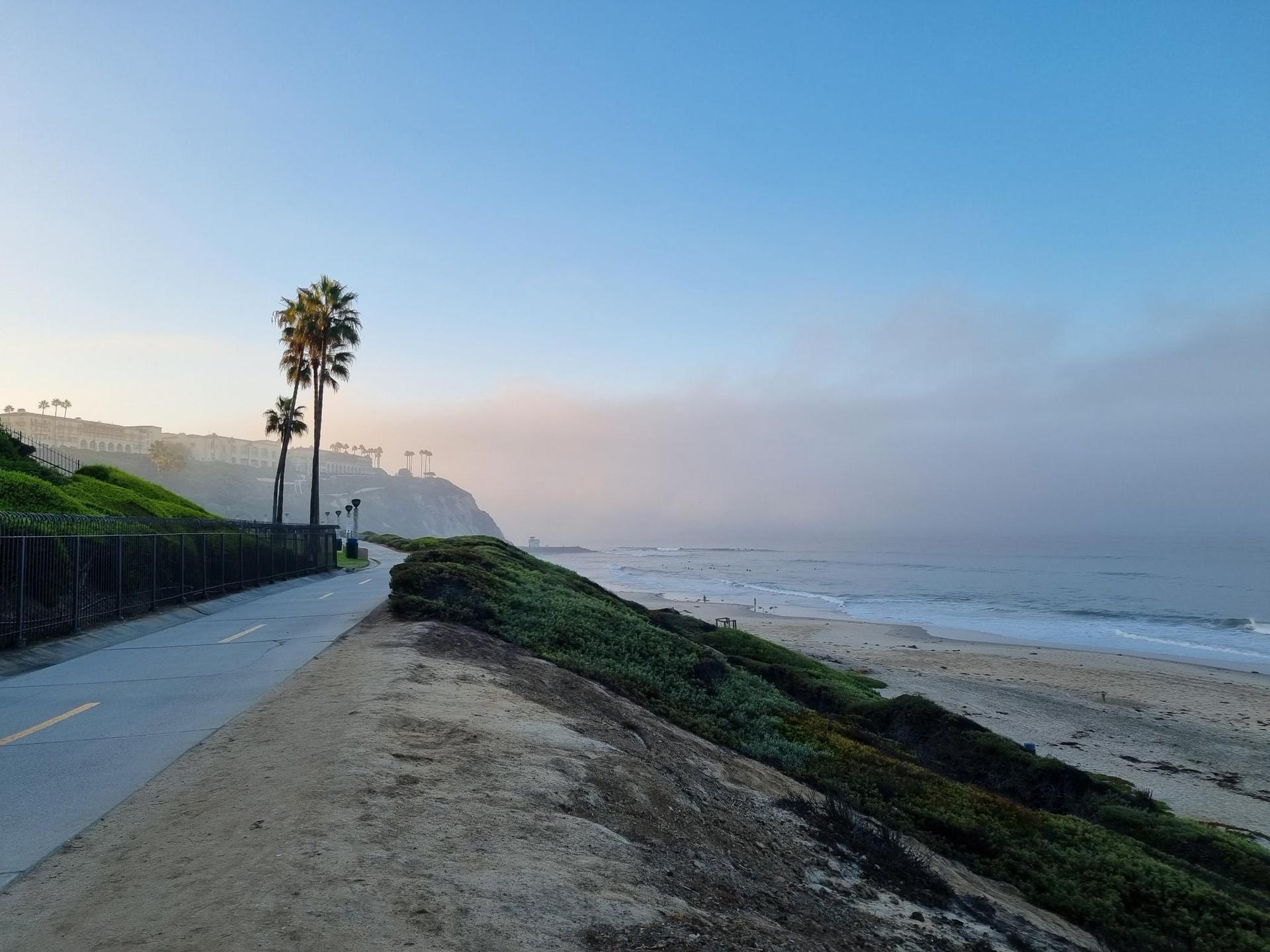 Coastal road with palm trees, green hills, and a foggy ocean at dawn.