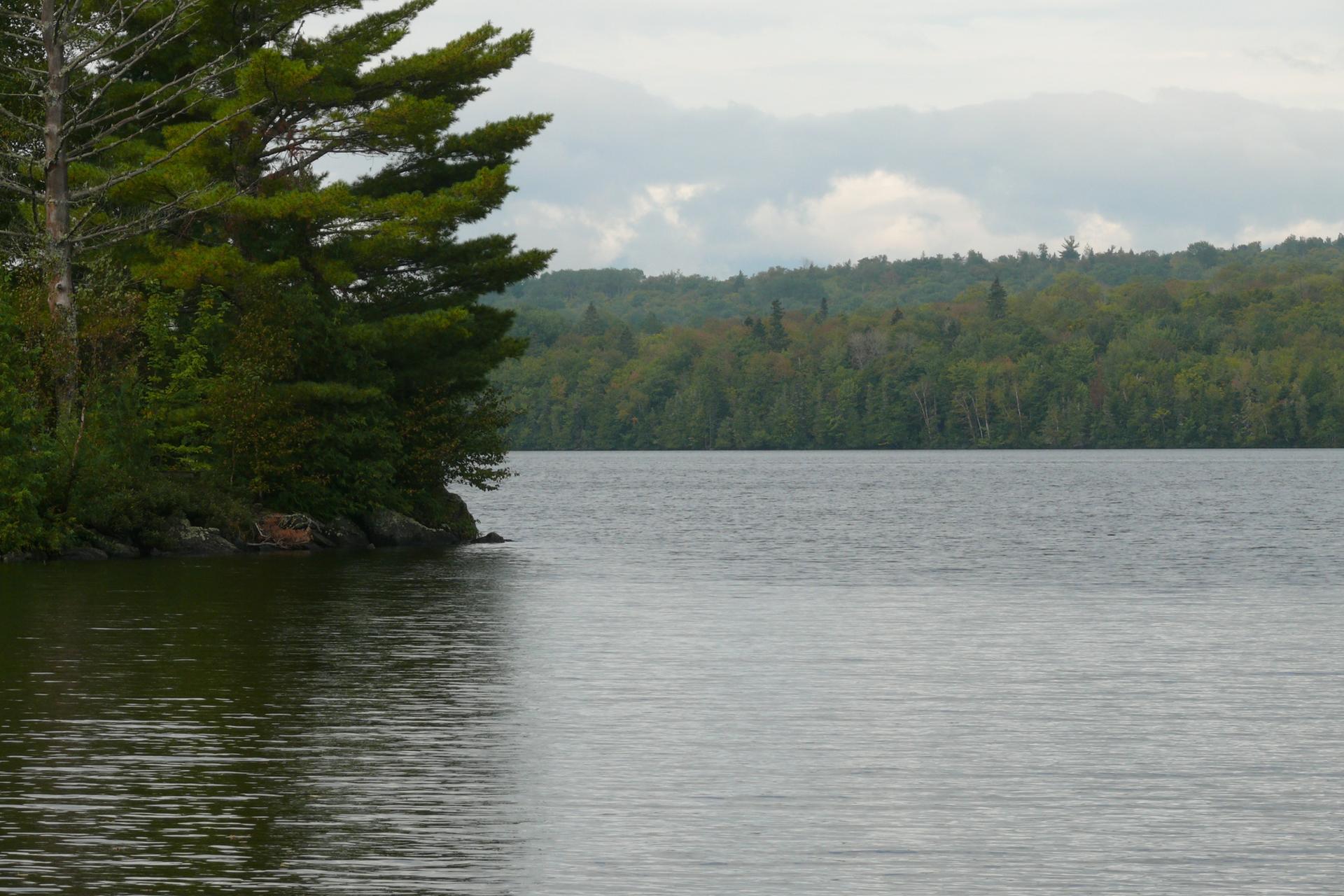 A calm lake with a forested shoreline under an overcast sky.