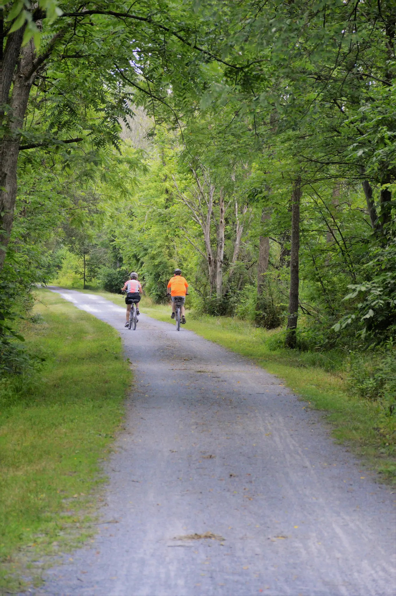 Two people cycle away on a tree-lined gravel path in bright daylight.