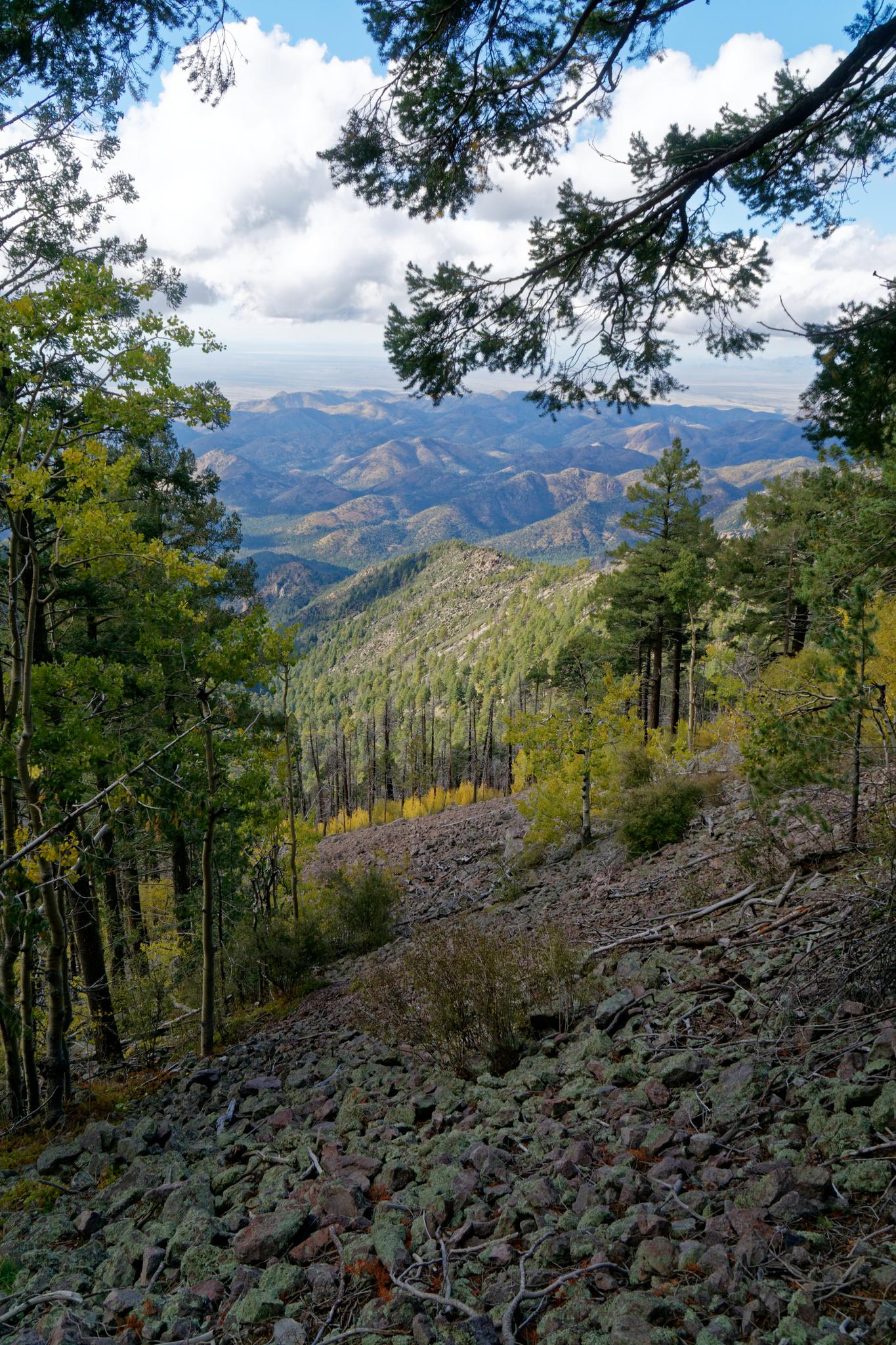 View of forested mountains and rocky slopes framed by tree branches.