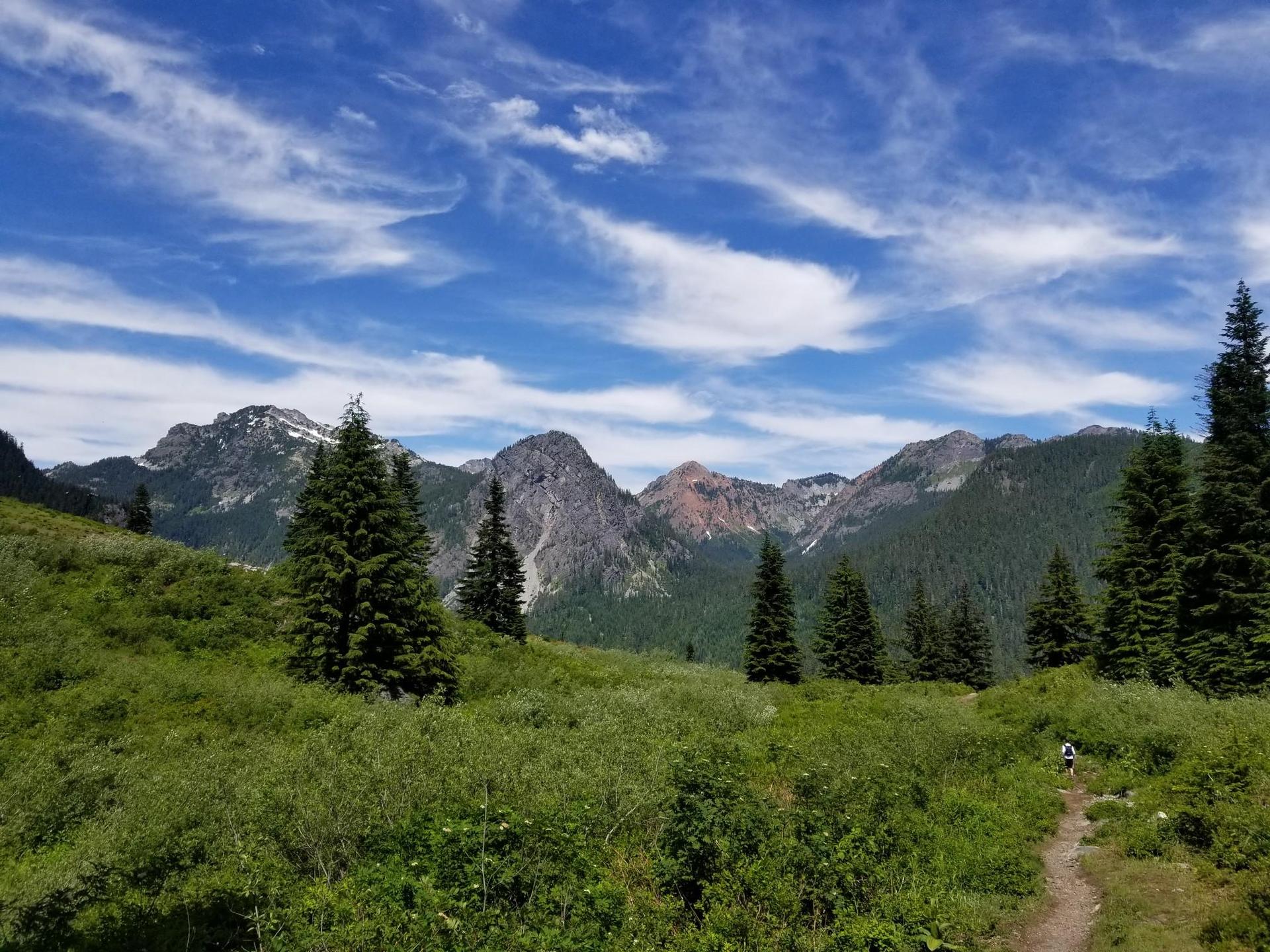 Sunny mountain meadow with pine trees, rugged peaks, and a distant hiker.