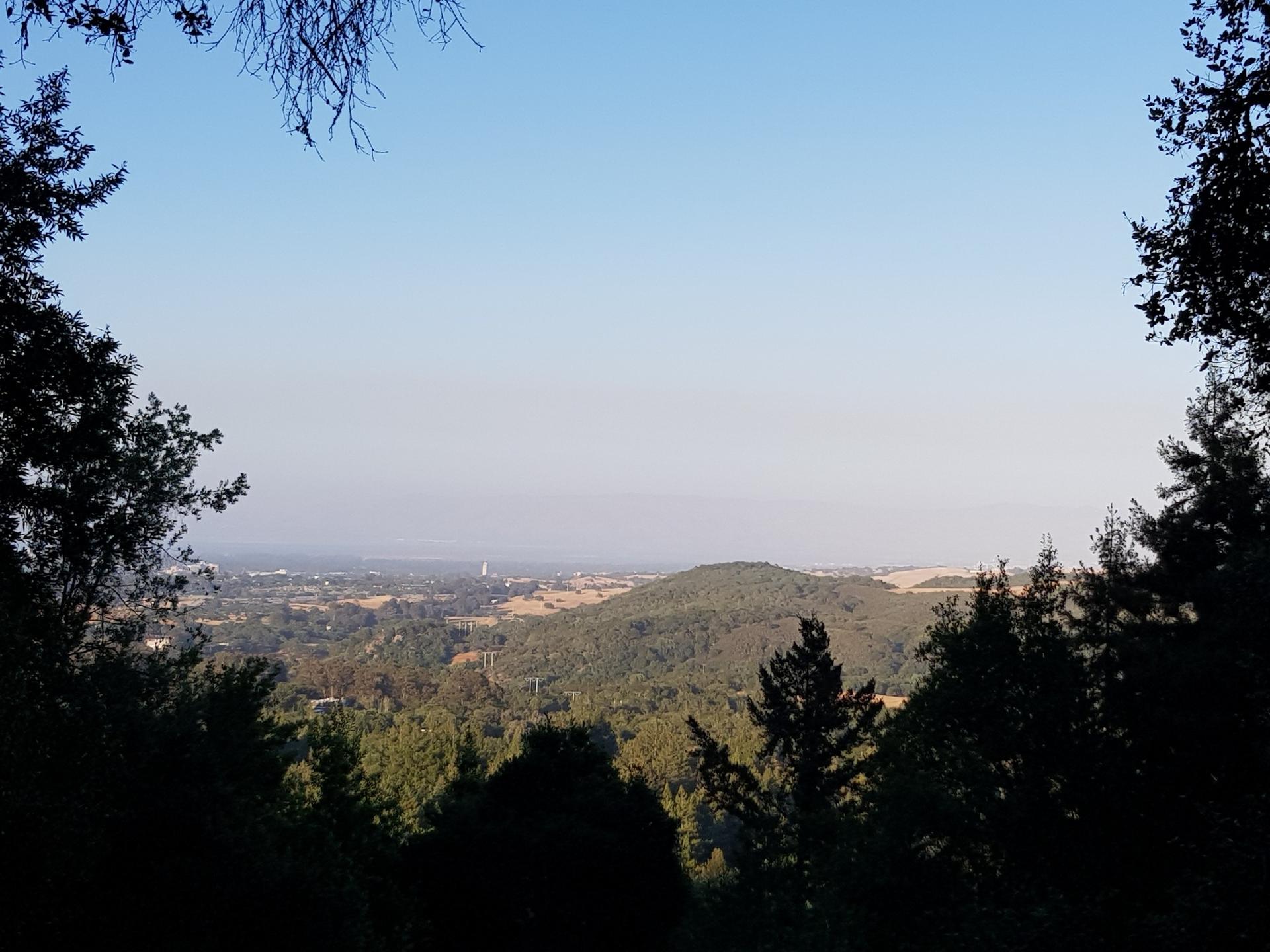 Panoramic view of a valley and distant hills from a wooded overlook, clear sky.