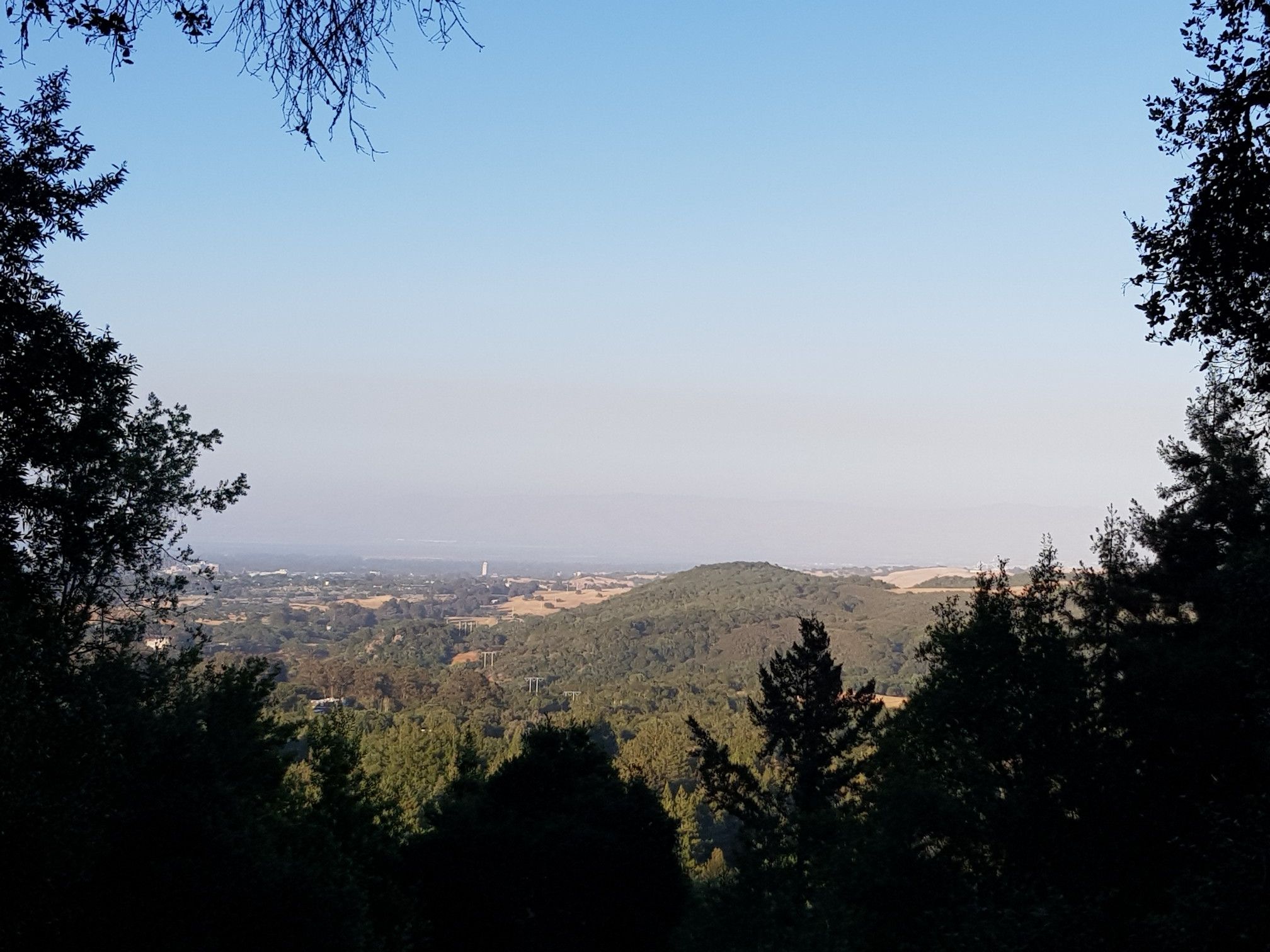 Panoramic view of a valley and distant hills from a wooded overlook, clear sky. - Bear Gulch and Alambique Trail Loop