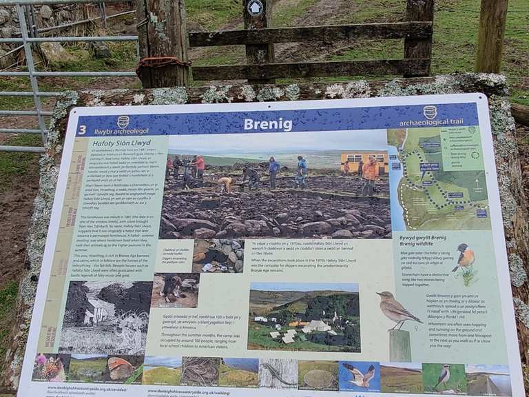 Llyn Brenig Ostufer-Schotterweg: Radtouren und Radwege | komoot