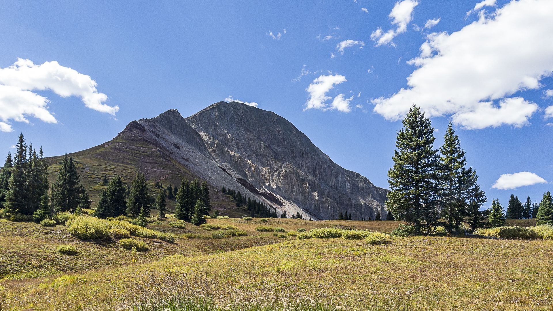 A large mountain rises above a green meadow with pine trees on a sunny day. - Engineer Mountain and Pass Creek Trail Loop