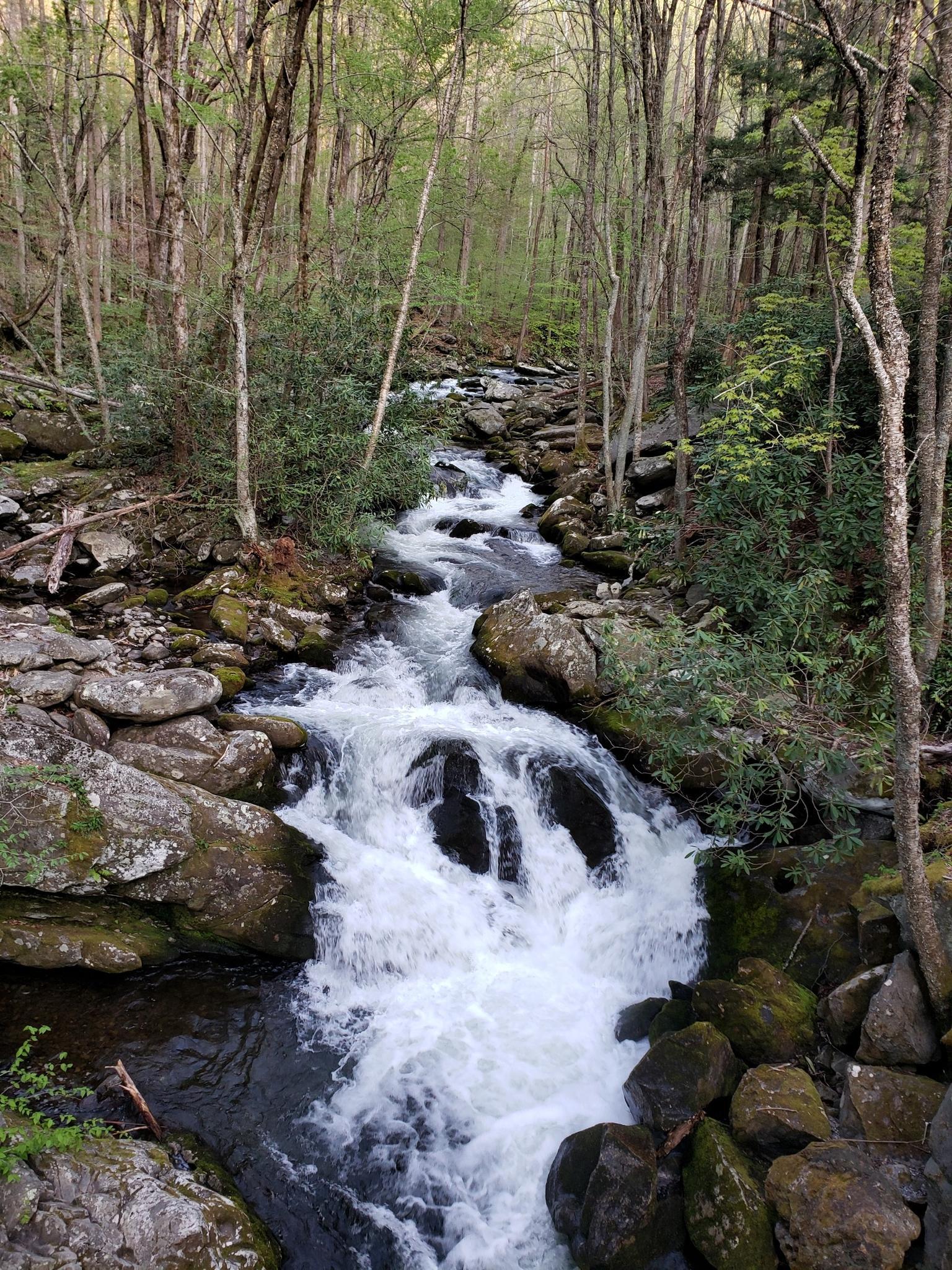 A powerful waterfall cascades over dark rocks in a dense, green forest.