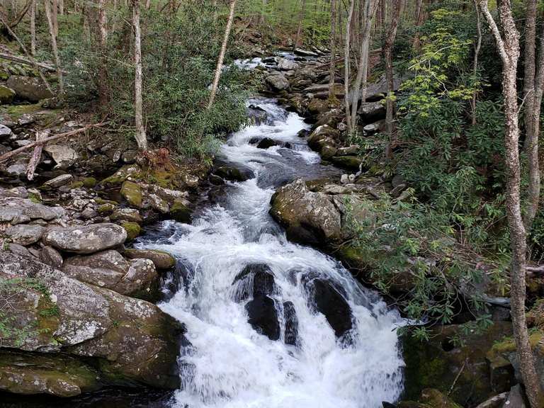 Lynn Camp Cascades via Middle Prong Trail — Great Smoky Mountains ...