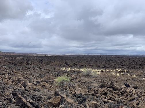 A vast, rugged landscape of dark, jagged rocks under a cloudy sky.