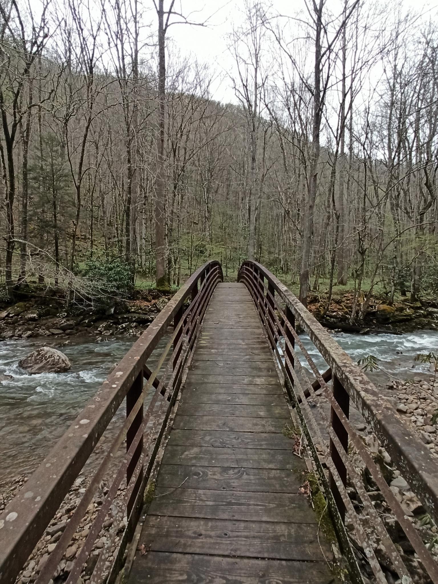 Wooden and metal footbridge over a rocky river in a bare forest.